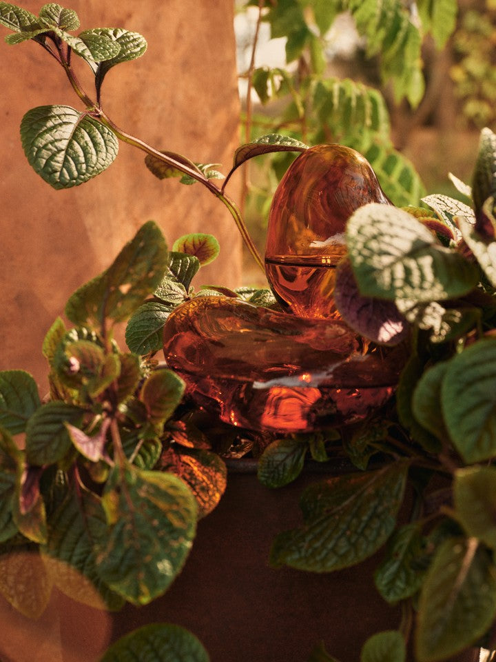 Mercury Water Globes Small Set of 2 in Amber präsentiert im Onlineshop von KAQTU Design AG. Pflanzentopfzubehör ist von Ferm Living