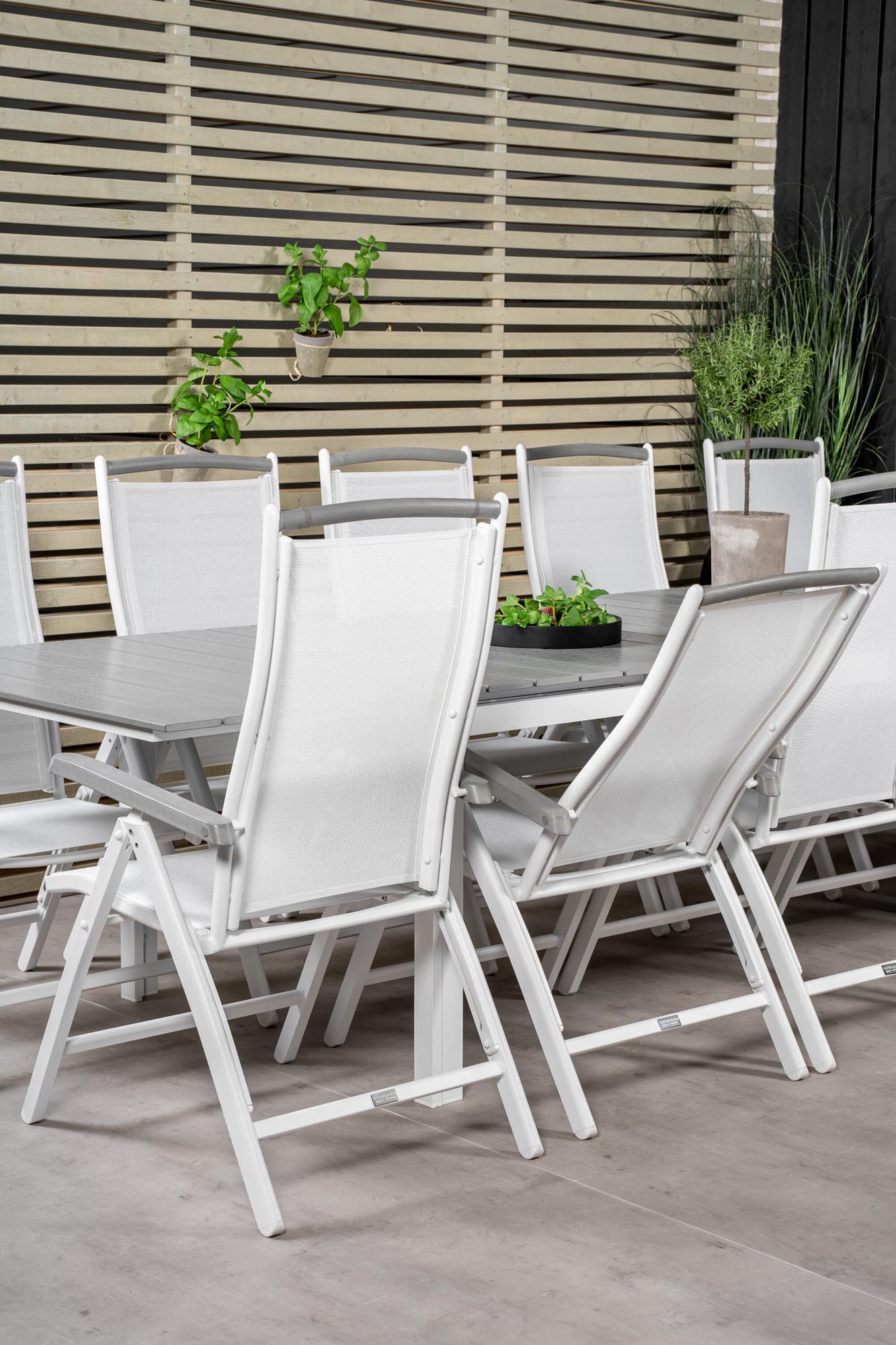 Levels Outdoor-Tischset + Albany 229cm/8St. in Weiss präsentiert im Onlineshop von KAQTU Design AG. Gartentischset ist von Venture Home