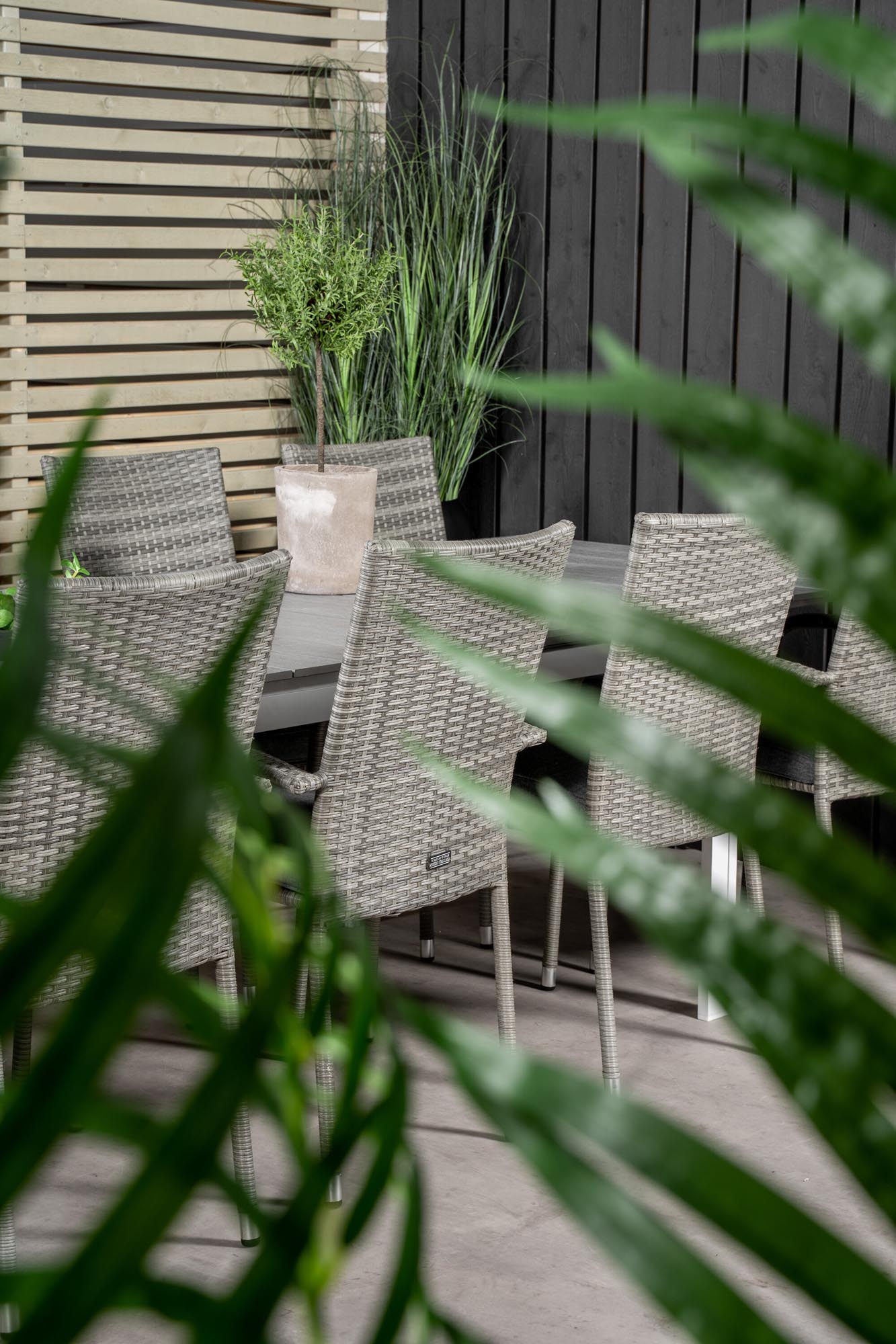 Stilvolles Outdoor-Tischset für unvergessliche Momente im Freien.