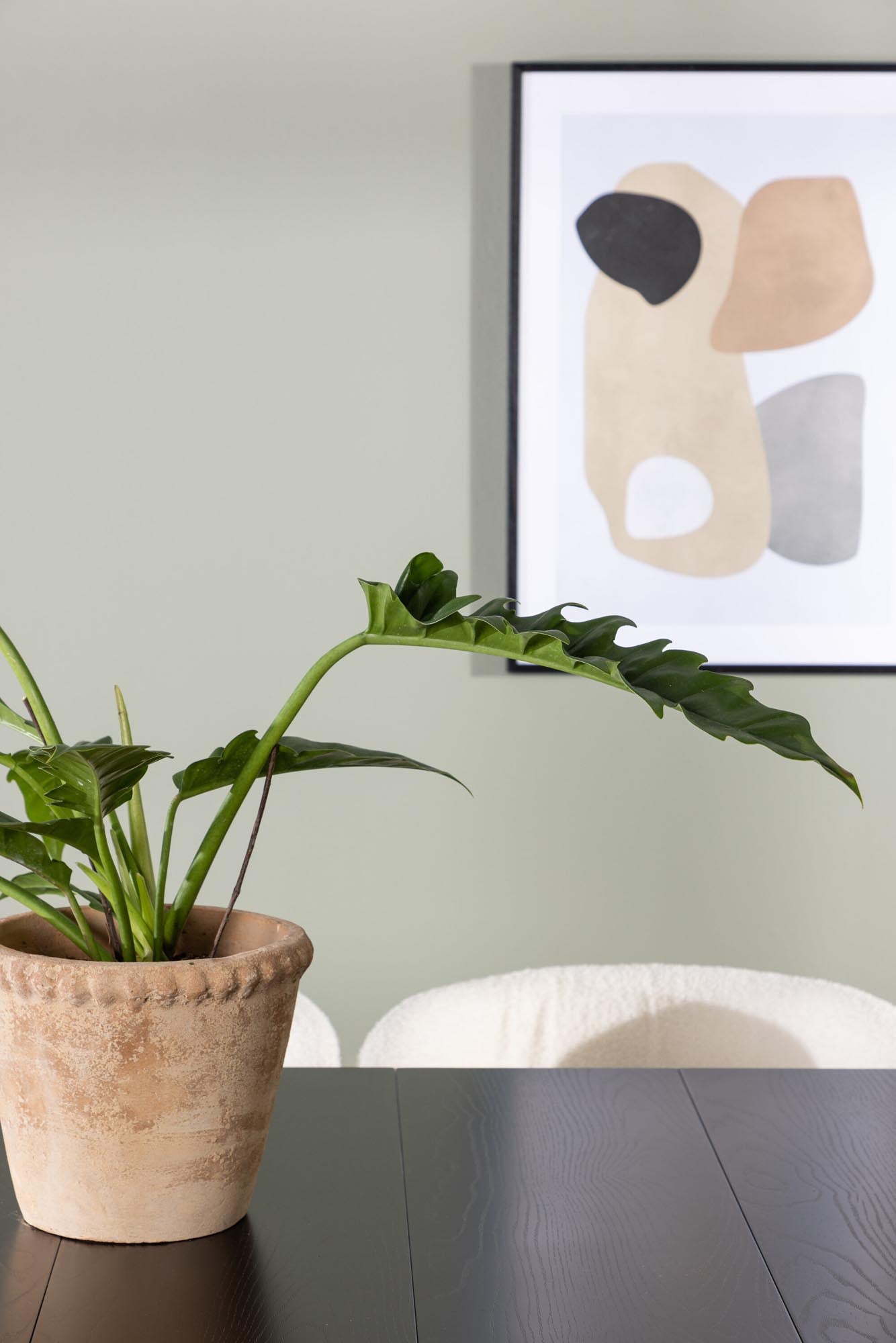 Stilvolles Esszimmerset Astrid & Edina: skandinavisches Design, komfortable Stühle und pflegeleichter Tisch für unvergessliche Essmomente.