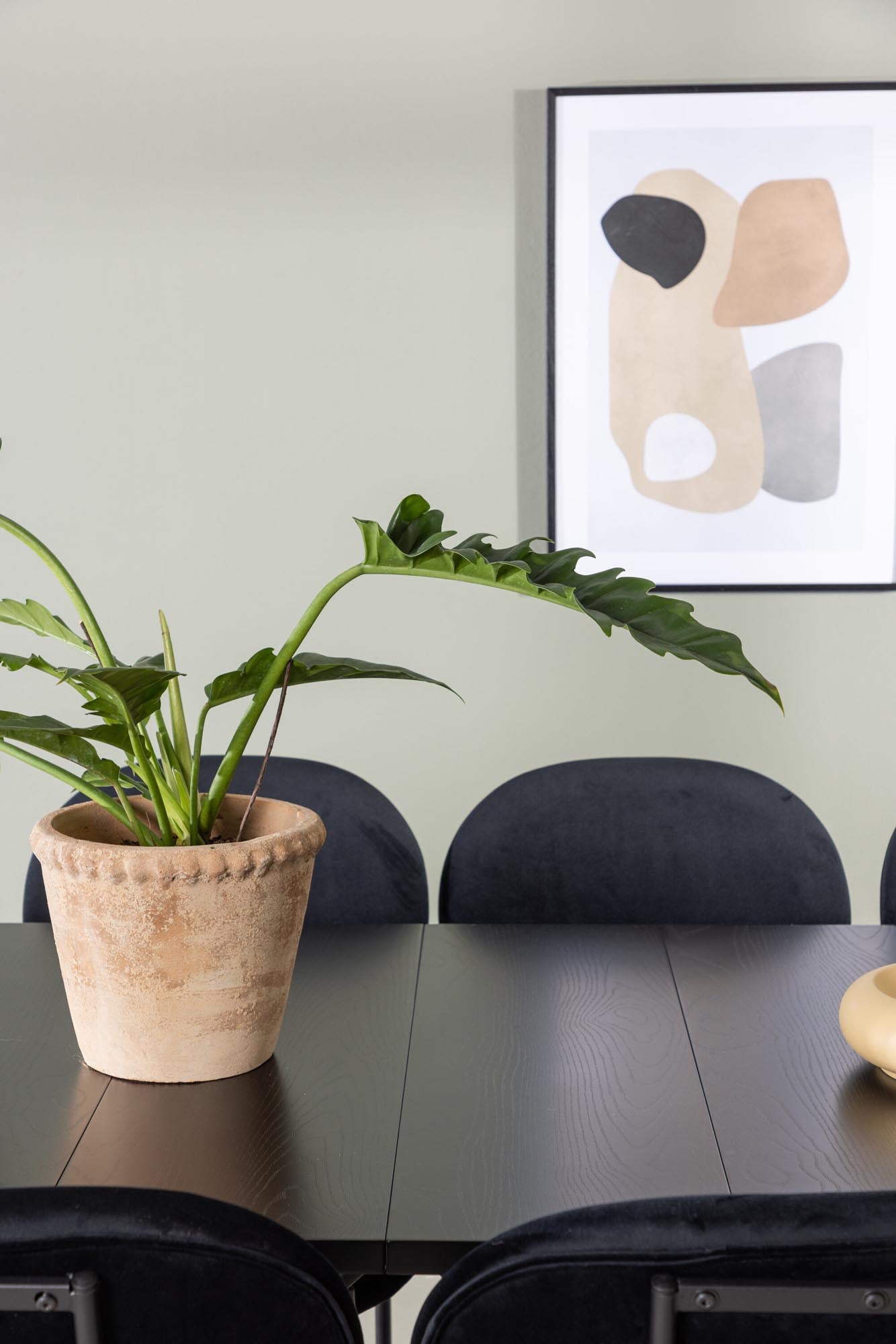 Modernes Esszimmerset Astrid mit 6 stilvollen Stella Stühlen, 200cm, von Venture Home – ideal für gesellige Abende und elegantes Ambiente.