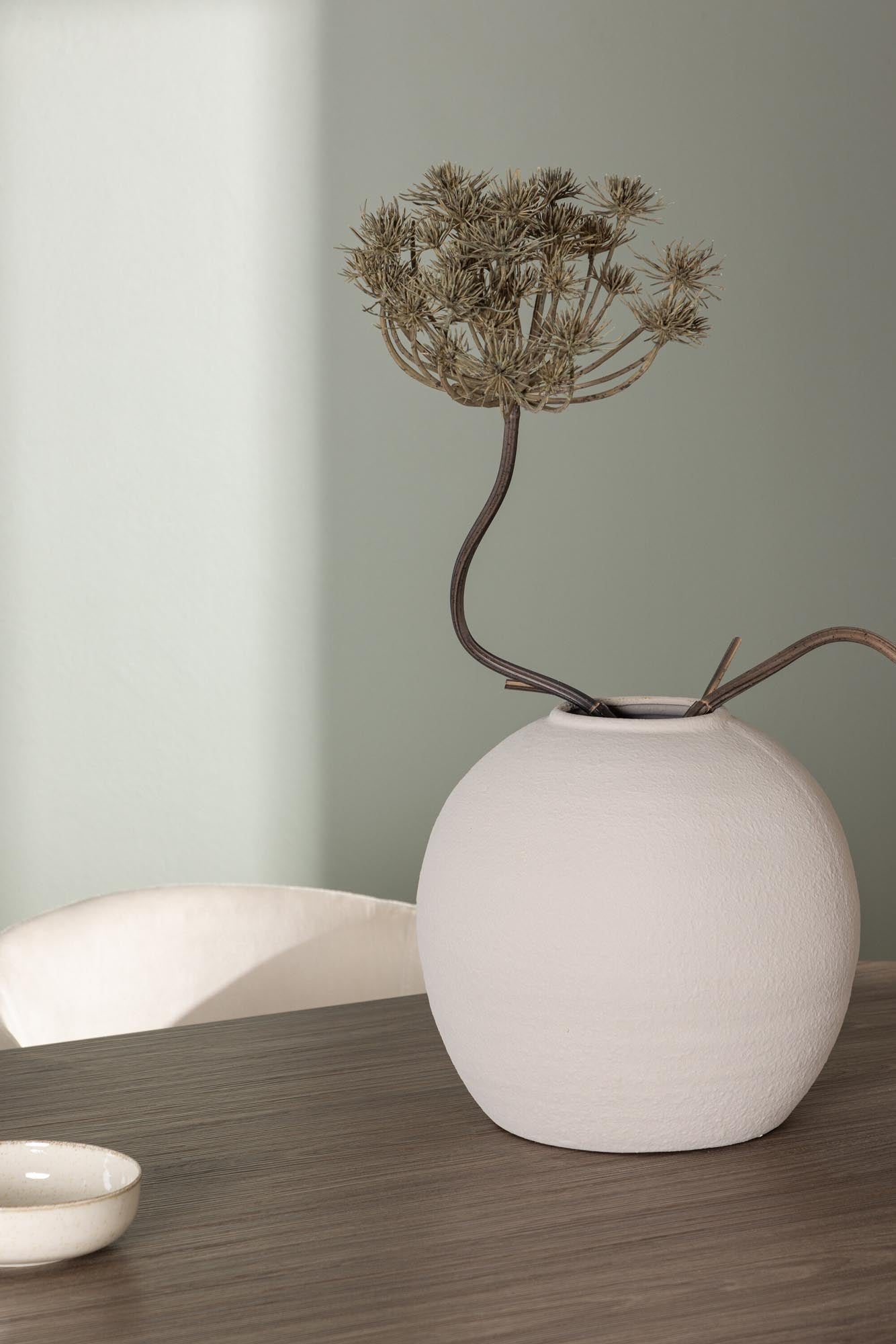 Stilvolles Andy Esszimmerset mit 4 Berit Stühlen, 180cm, von Venture Home.