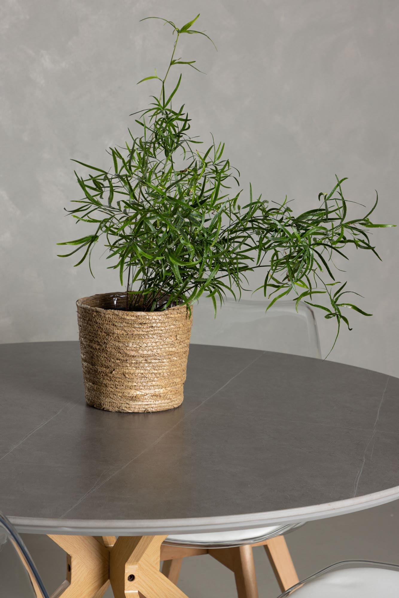 Stilvolles Piazza Esszimmerset für 4, perfekt für moderne Räume.