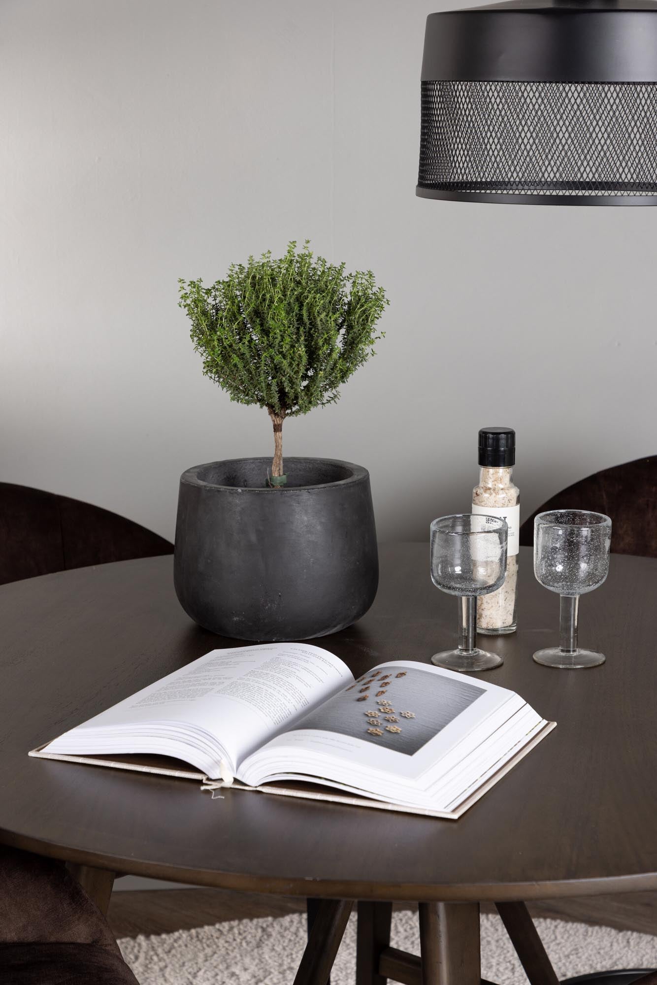 Elegantes Esszimmerset: Kaseindon + Evening, 100cm, 4 Stühle, modern.