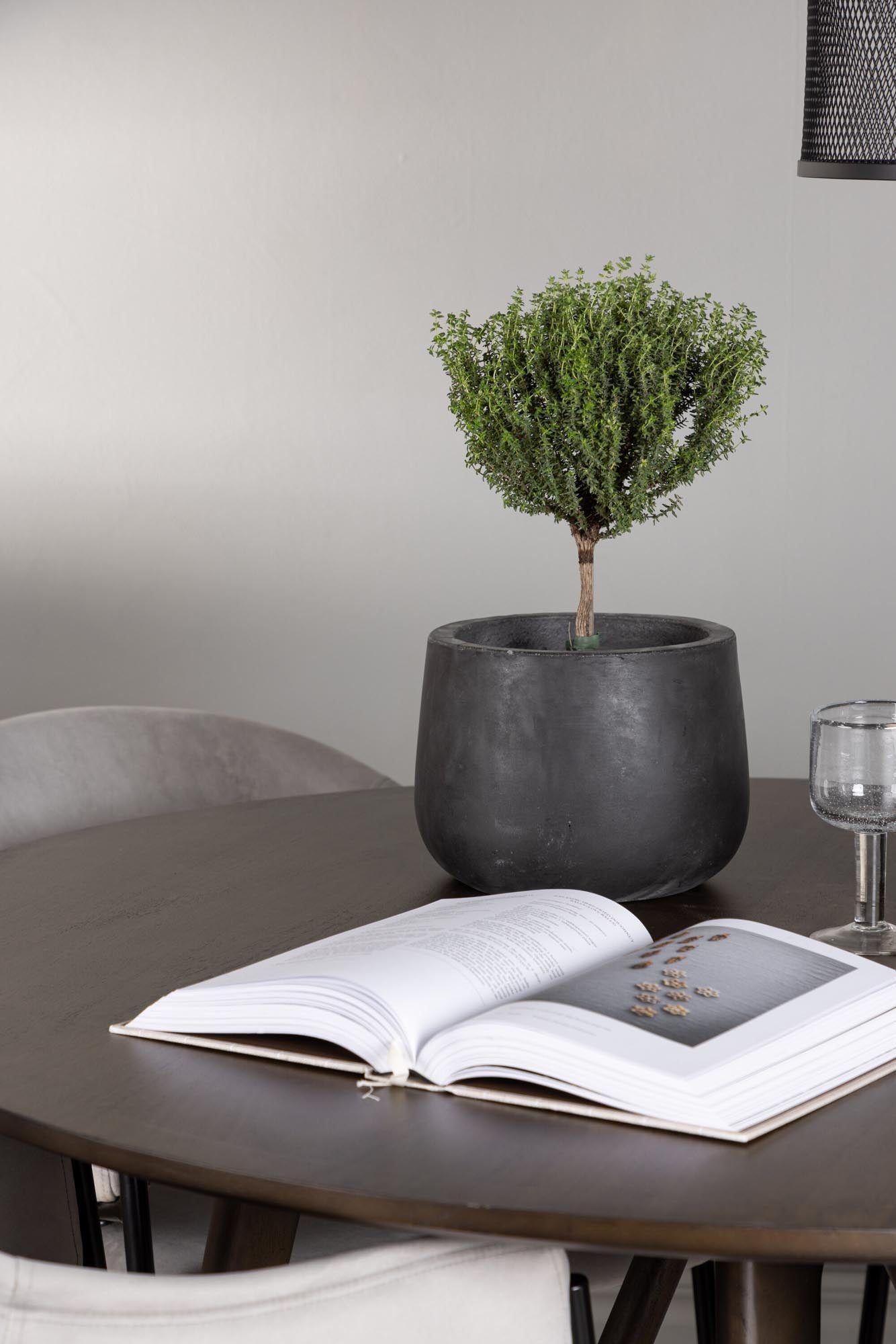 Elegantes Esszimmerset Kaseindon + Evelina für stilvolle Räume.