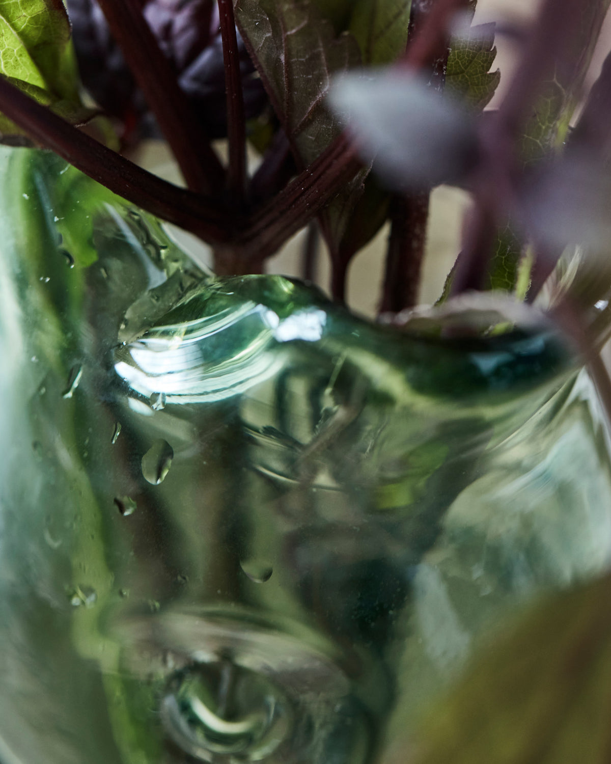 Grüne Vase HDFish aus mundgeblasenem Glas in der Form eines Fisches
