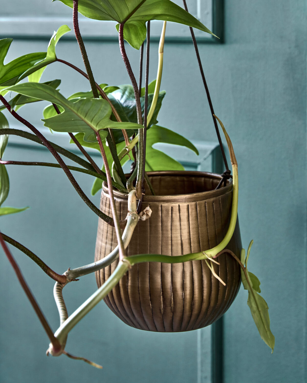 Blumentopf, HDPlan, Gold in Gold präsentiert im Onlineshop von KAQTU Design AG. Blumentopf ist von House Doctor