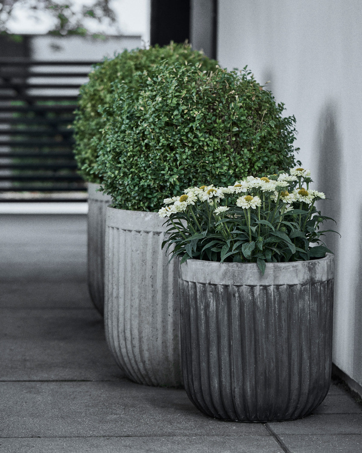 Blumenkasten, Concrete in Hellgrau präsentiert im Onlineshop von KAQTU Design AG. Pflanzentopf Outdoor ist von House Doctor