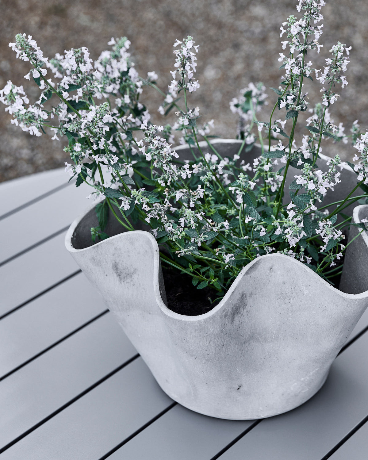 Blumentopf, HDVaso, Grau in Grau präsentiert im Onlineshop von KAQTU Design AG. Blumentopf ist von House Doctor