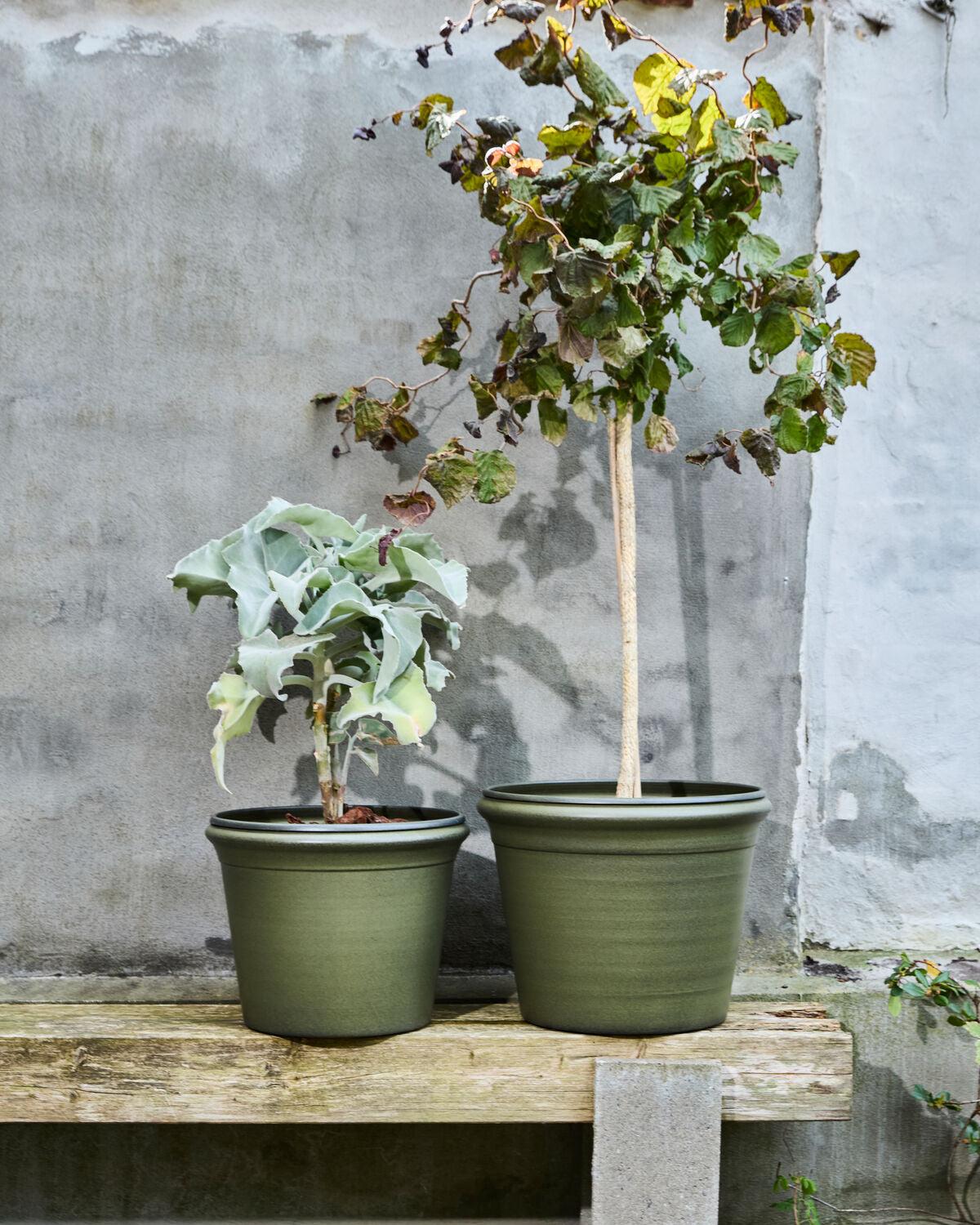 Blumentopf, HDIvy, Grün in Green präsentiert im Onlineshop von KAQTU Design AG. Pflanzentopf Outdoor ist von House Doctor