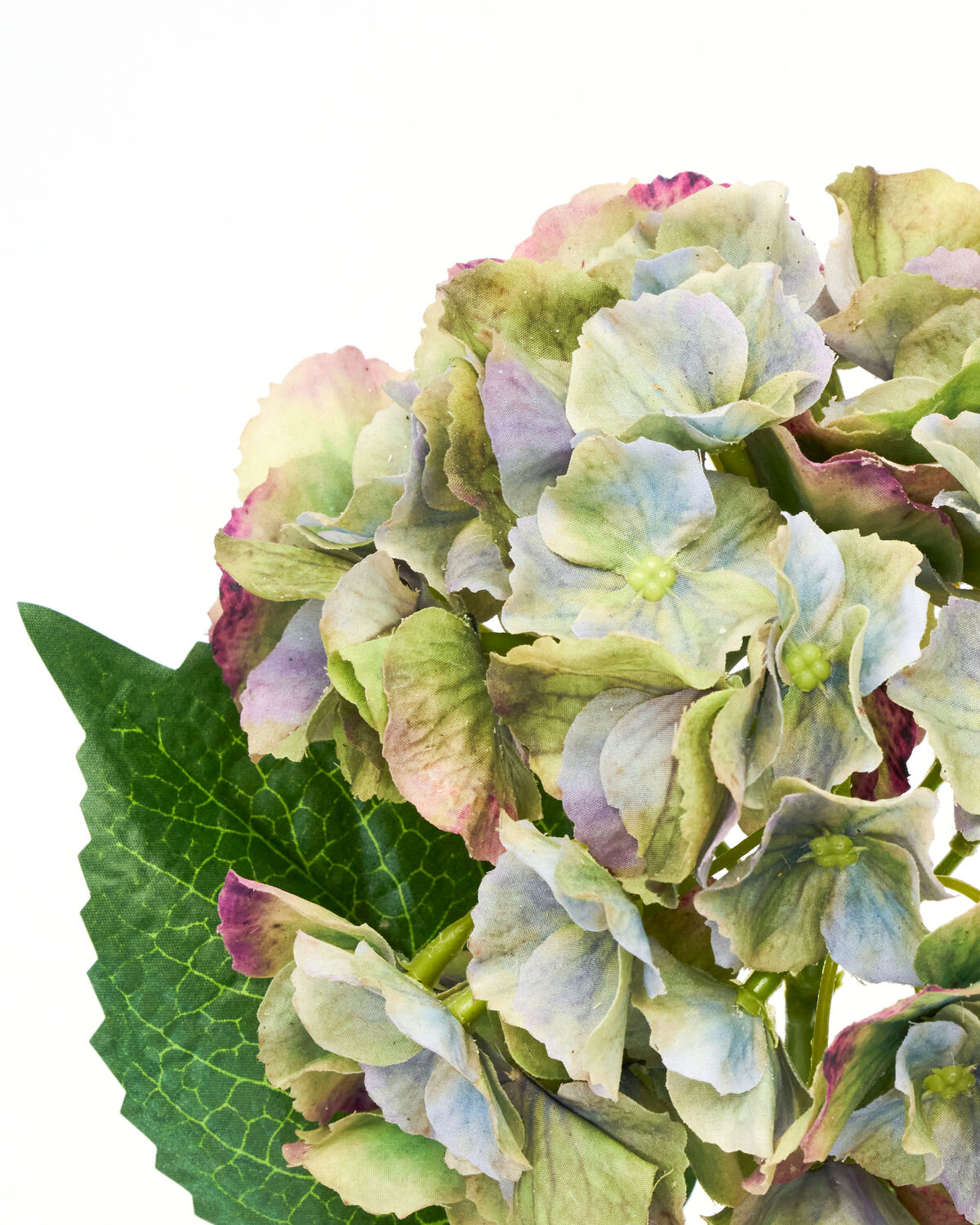 Elegante Kunsthortensie in sanften Grün- und Blautönen von House Doctor, perfekt für eine stilvolle Raumgestaltung und kreative Akzente.