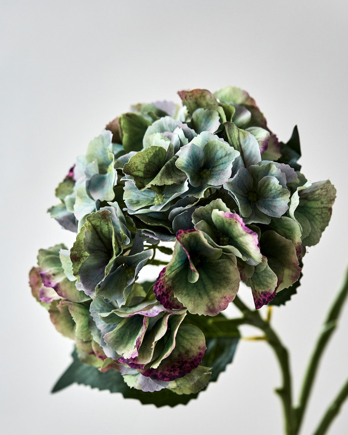 Artificial flower, HDHydrangea, Grün, Blau in Green präsentiert im Onlineshop von KAQTU Design AG. Kunstblume ist von House Doctor