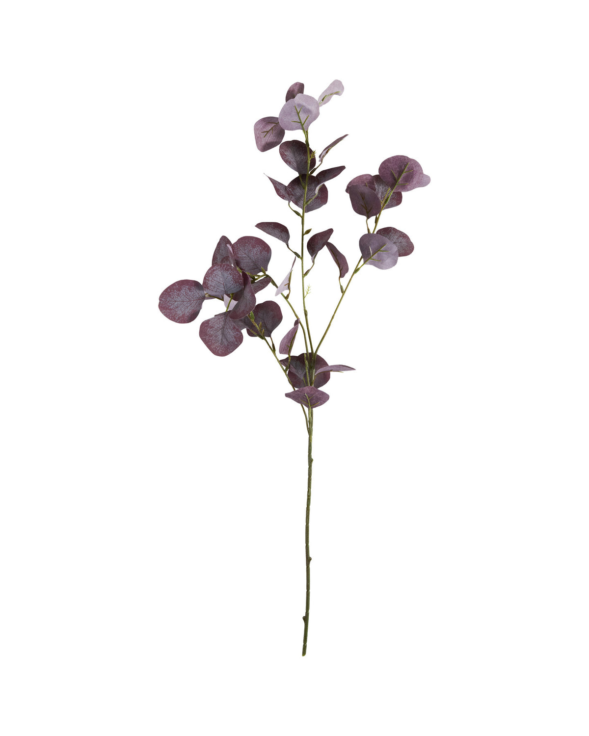 Artificial branch, HDEucalyptus, Bordeaux in Burgundy präsentiert im Onlineshop von KAQTU Design AG. Kunstblume ist von House Doctor