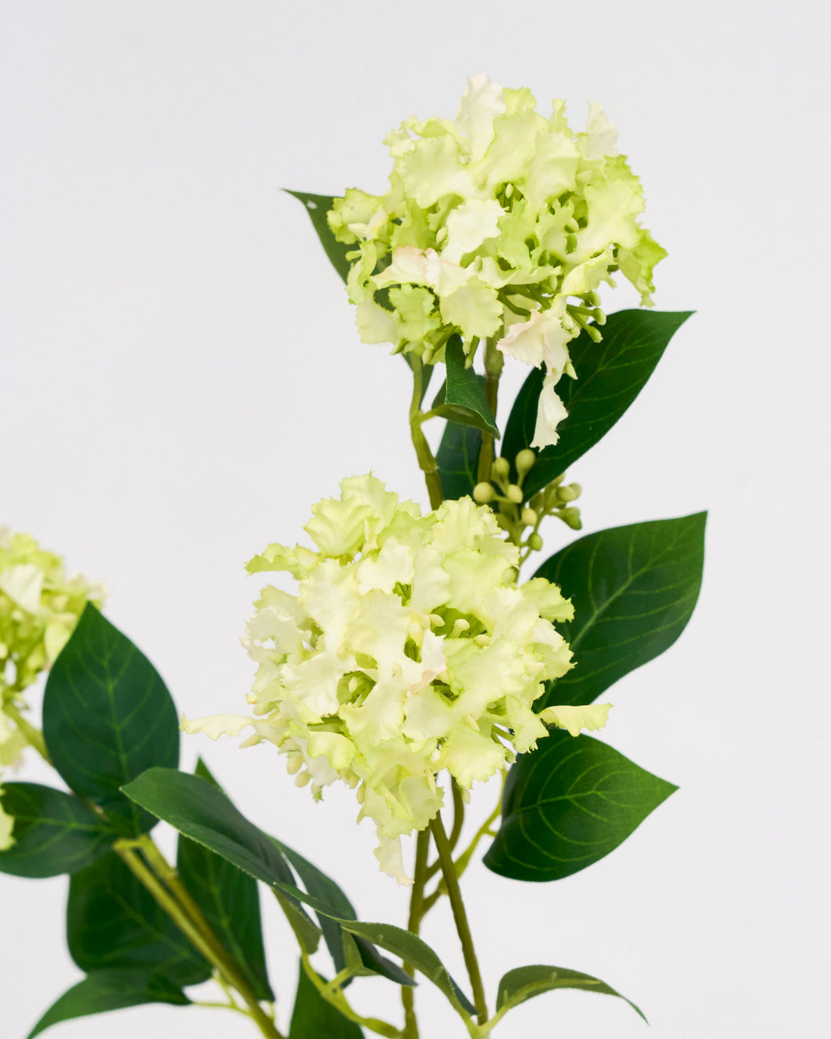 Artificial flower, HDViburnum, Grün in Green präsentiert im Onlineshop von KAQTU Design AG. Kunstblume ist von House Doctor