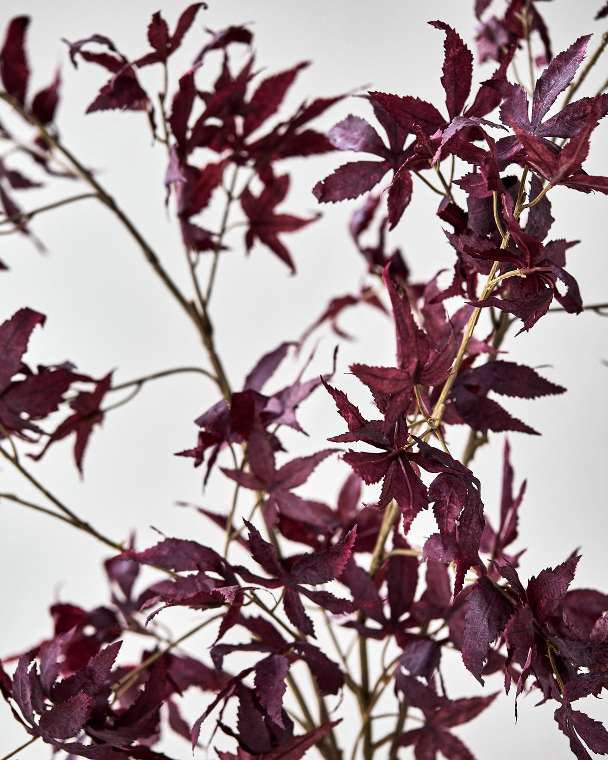 Artificial branch, HDMaple, Bordeaux in Burgundy präsentiert im Onlineshop von KAQTU Design AG. Kunstblume ist von House Doctor