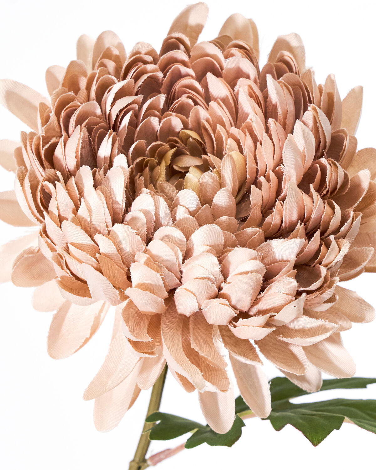 Wunderschöne Kunstblume in zarten Rosatönen, perfekt für eine stilvolle Raumgestaltung und als Blickfang in jedem Zuhause.