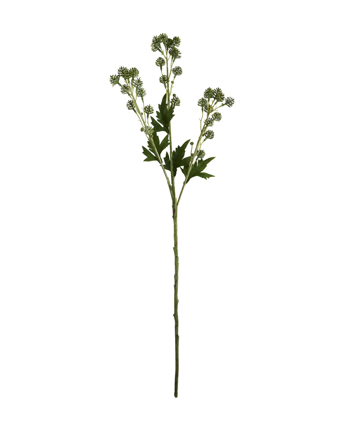 Artificial branch, HDSedum, Grün in Green präsentiert im Onlineshop von KAQTU Design AG. Kunstblume ist von House Doctor