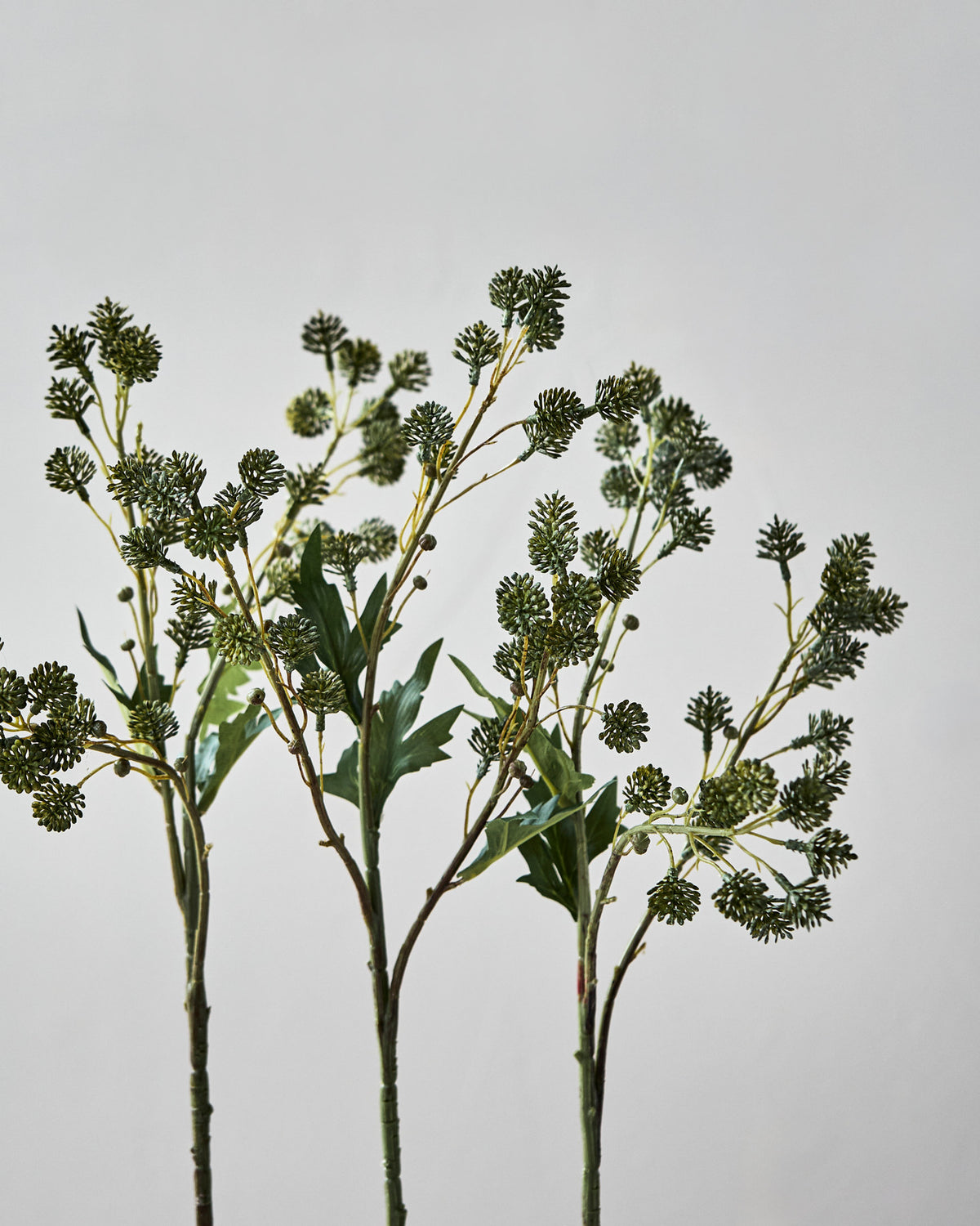 Artificial branch, HDSedum, Grün in Green präsentiert im Onlineshop von KAQTU Design AG. Kunstblume ist von House Doctor