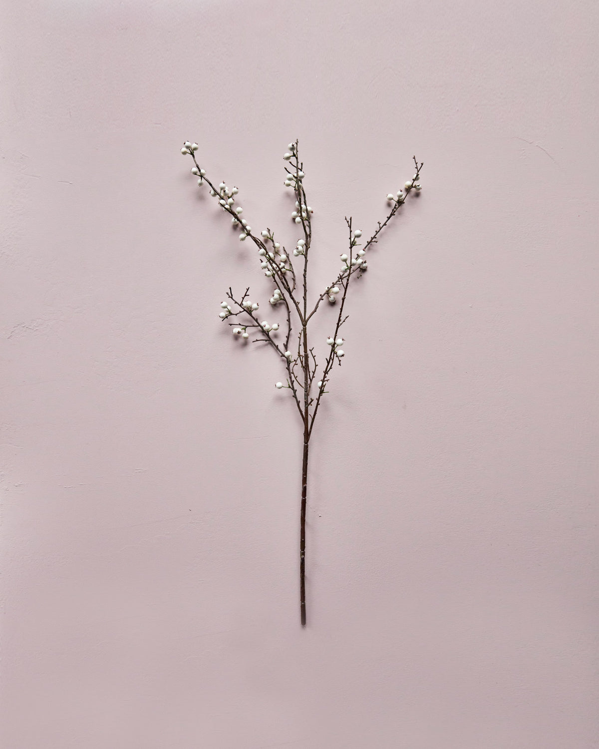 Artificial branch, HDDecor, Weiß in White präsentiert im Onlineshop von KAQTU Design AG. Kunstblume ist von House Doctor