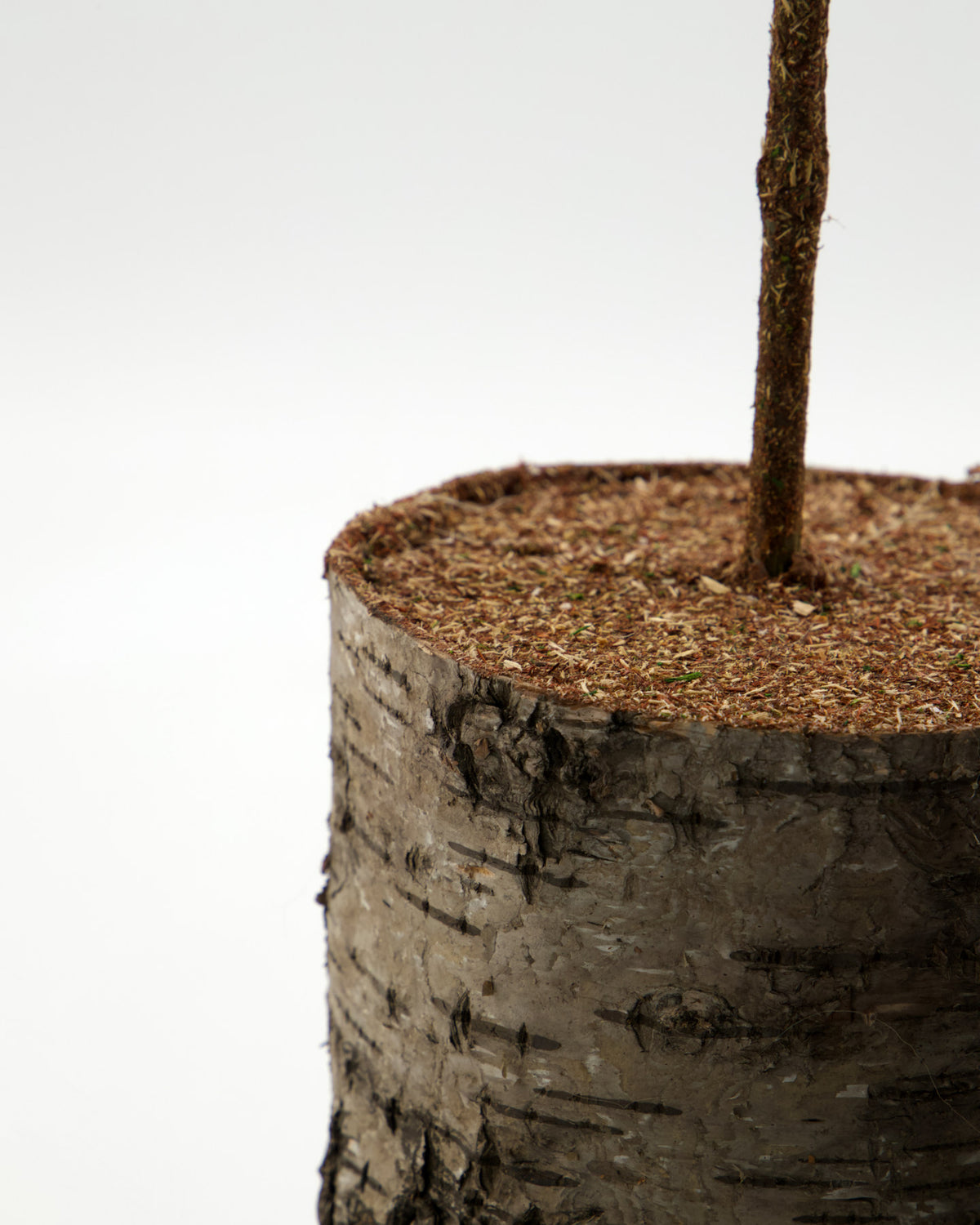 Weihnachtsbaum, HDPine, Grün in Green präsentiert im Onlineshop von KAQTU Design AG. Weihnachtszubehör ist von House Doctor