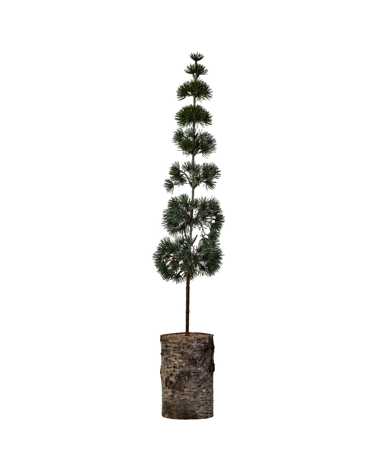 Weihnachtsbaum, HDPine, Grün in Green präsentiert im Onlineshop von KAQTU Design AG. Weihnachtszubehör ist von House Doctor