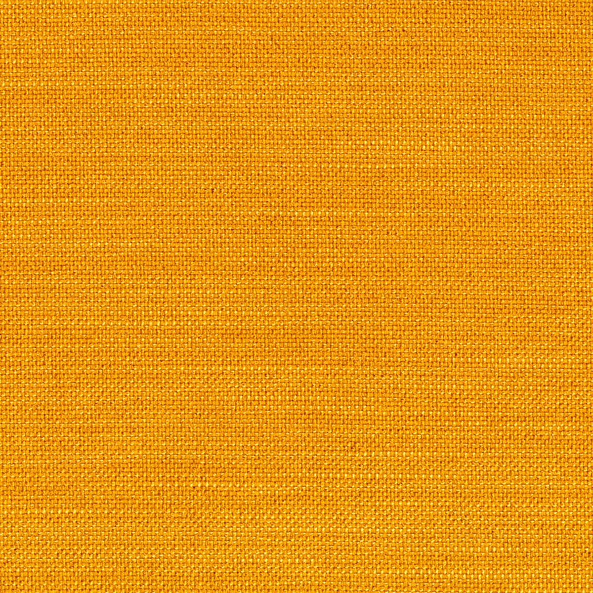 Rollo Bow Klappsofa 80 mit Gestellbezug Spring