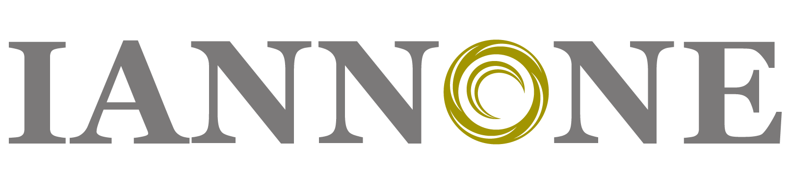 Logo Iannone & Partner AG