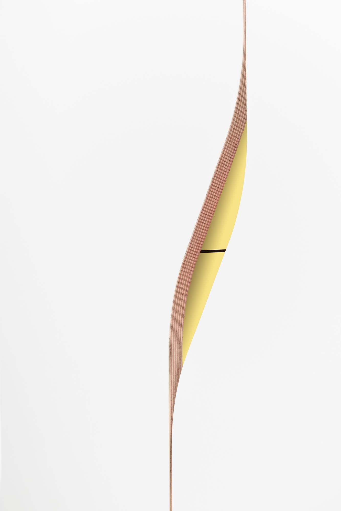 Plane Schrank V5: Moderner, geräumiger Schrank mit intelligentem Design und anpassbarem Innenleben für stilvolle Ordnung.