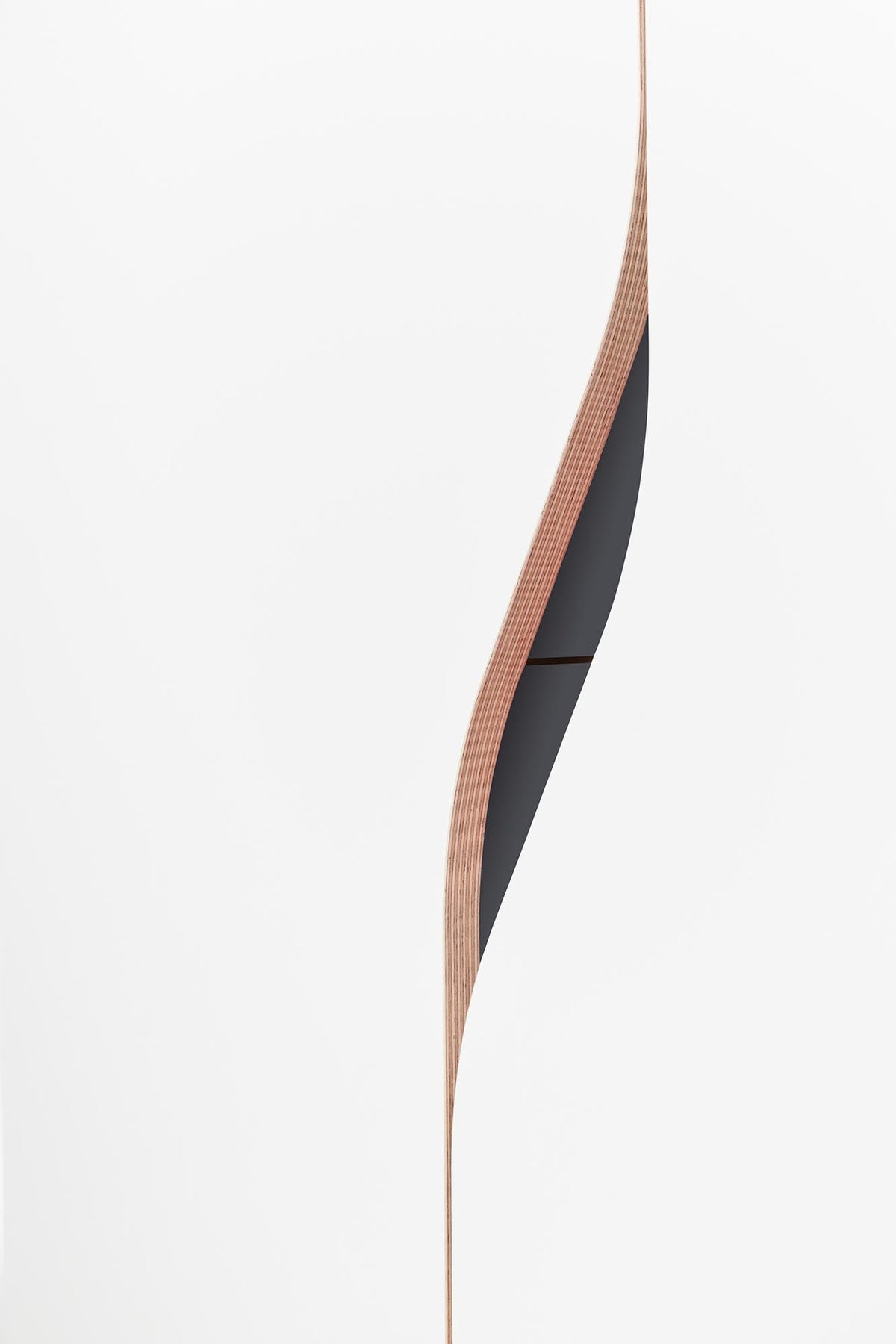 Plane Schrank V4 in Weiss / Graphitschwarz präsentiert im Onlineshop von KAQTU Design AG. Drehtürenschrank ist von Müller Möbelwerkstätten