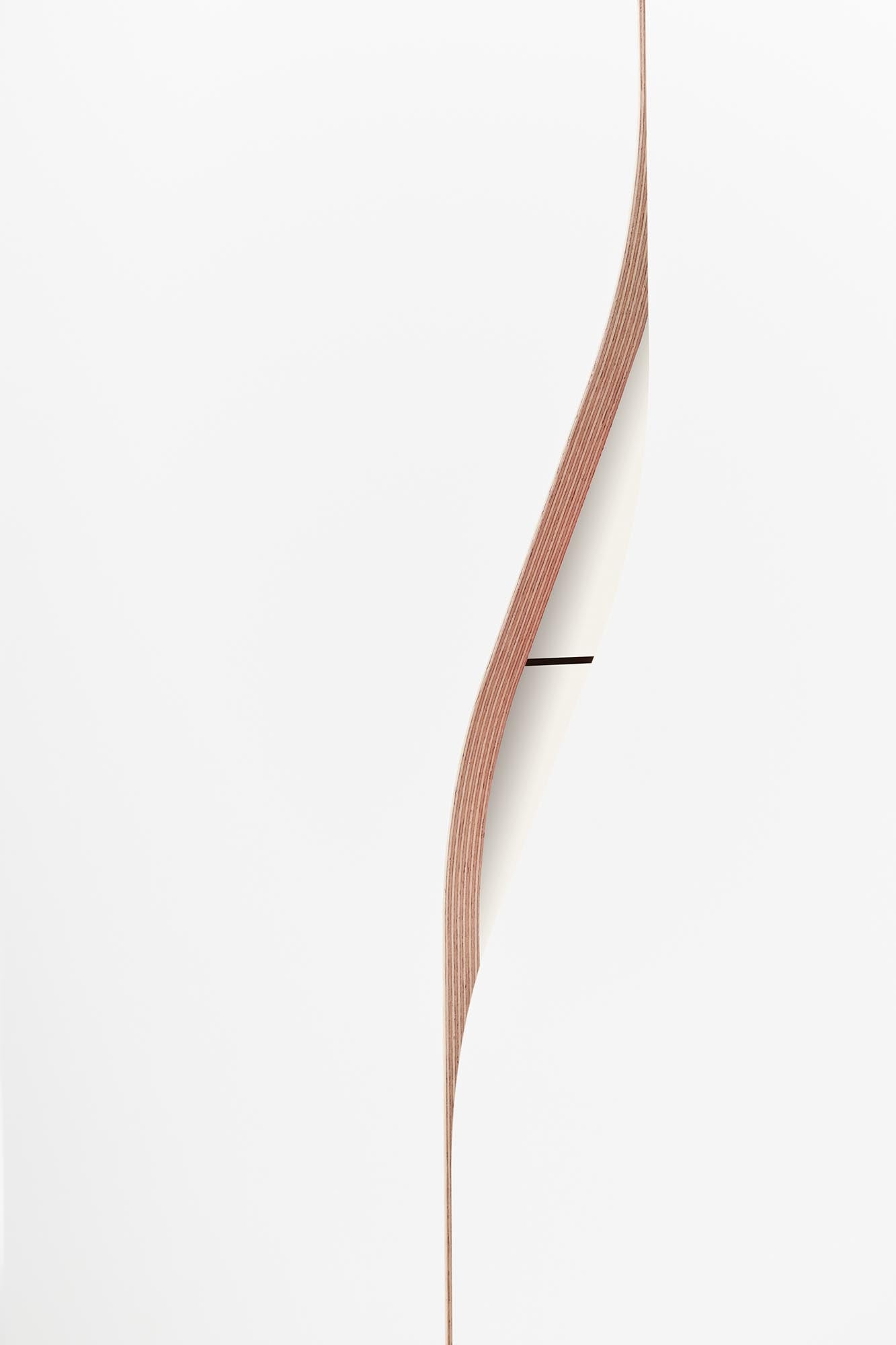 Plane Schrank V2: Stilvolle Ordnung für zeitgemässe Wohnkonzepte.