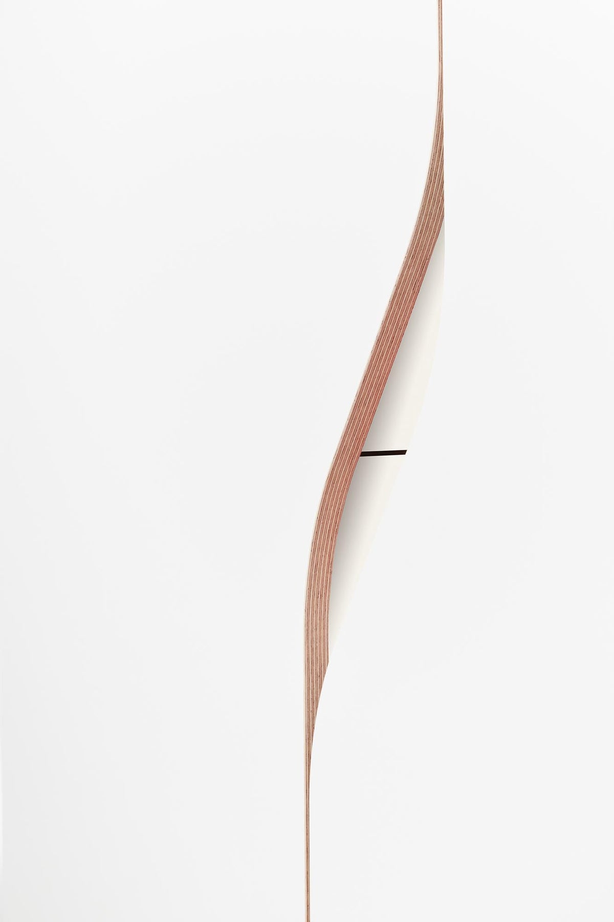 Plane Schrank V3 in Weiss / Reinweiss präsentiert im Onlineshop von KAQTU Design AG. Drehtürenschrank ist von Müller Möbelwerkstätten