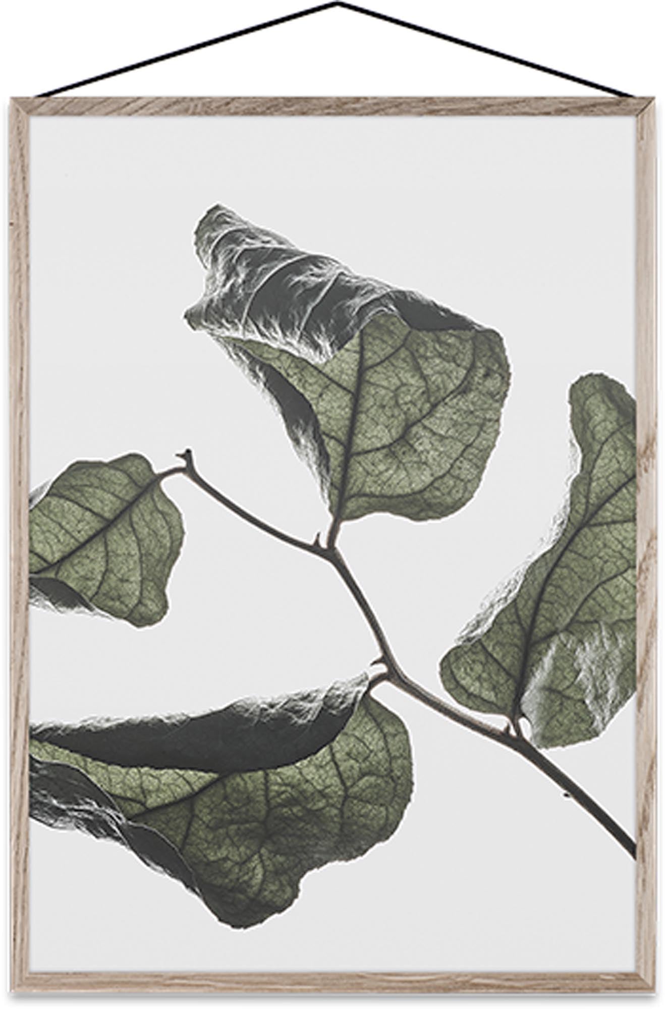 "Floating Leaves 03" von Paper Collective: Minimalistischer Kunstdruck, der Natur und Ruhe in jeden Raum bringt. Umweltfreundlich, 50x70 cm.