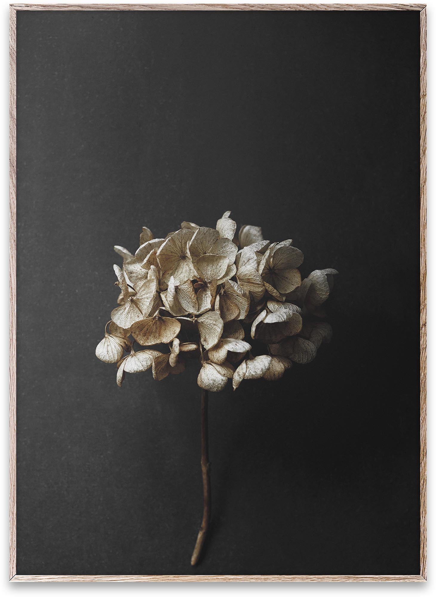 "Still Life 04": Zeitlose Eleganz für Ihr Zuhause, harmonisch und umweltbewusst.