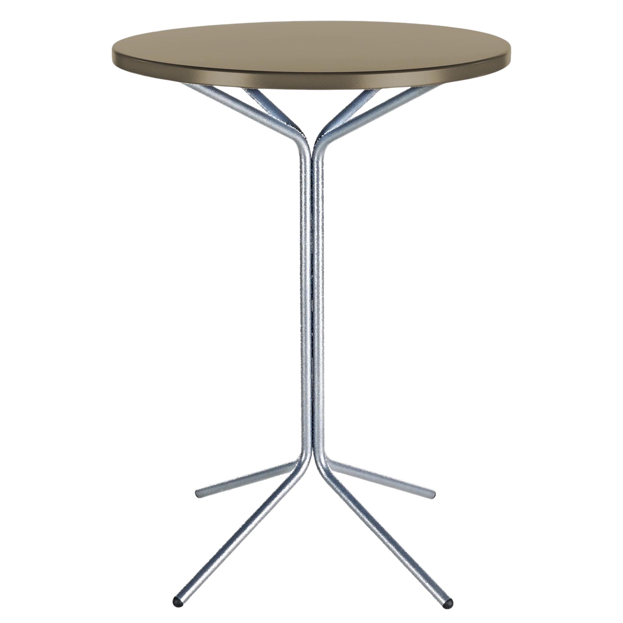 PIX Metall-Stehtisch Outdoor ø60 / 110 in Champagner präsentiert im Onlineshop von KAQTU Design AG. Hochtisch Outdoor ist von Schaffner