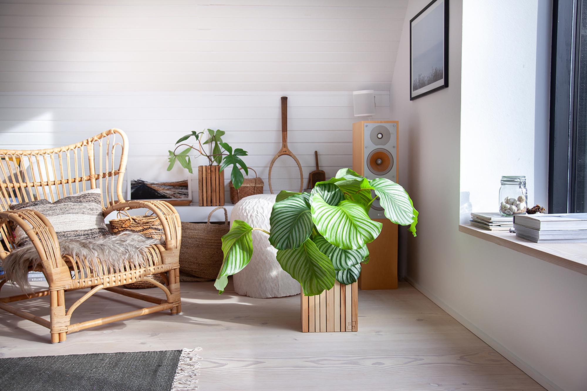 Entdecken Sie das GrowSMALL von Squarely Copenhagen – ein elegantes Pflanzgefäß mit umweltfreundlicher Bewässerungstechnologie für gesunde Pflanzen.