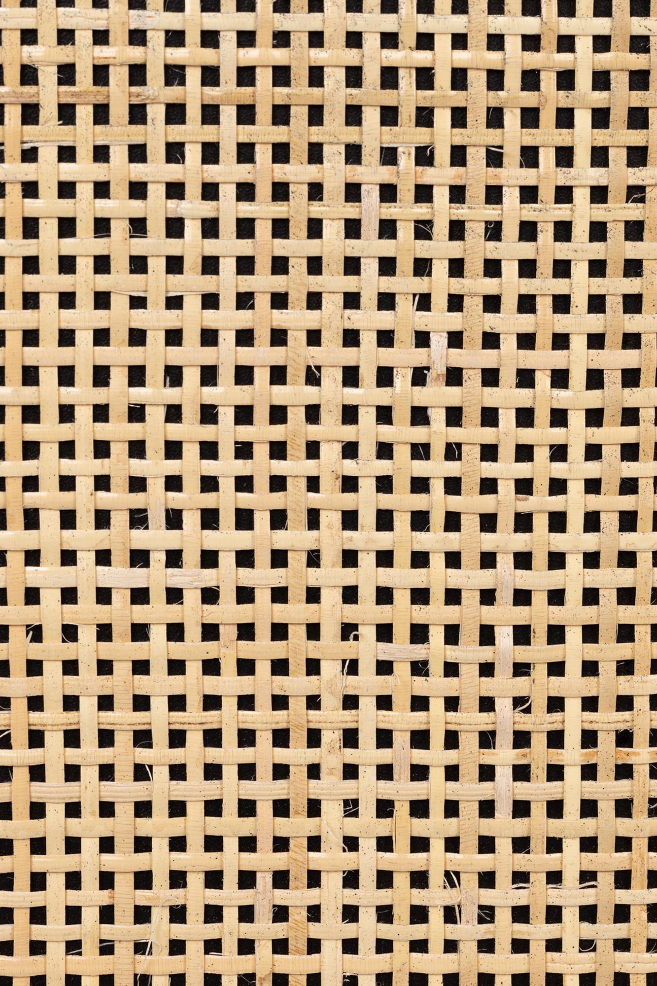 Stilvolles, minimalistisches Cabinet mit 2 Türen, ideal für ordentliche Aufbewahrung. Hochwertig, langlebig, 80x38x100cm.