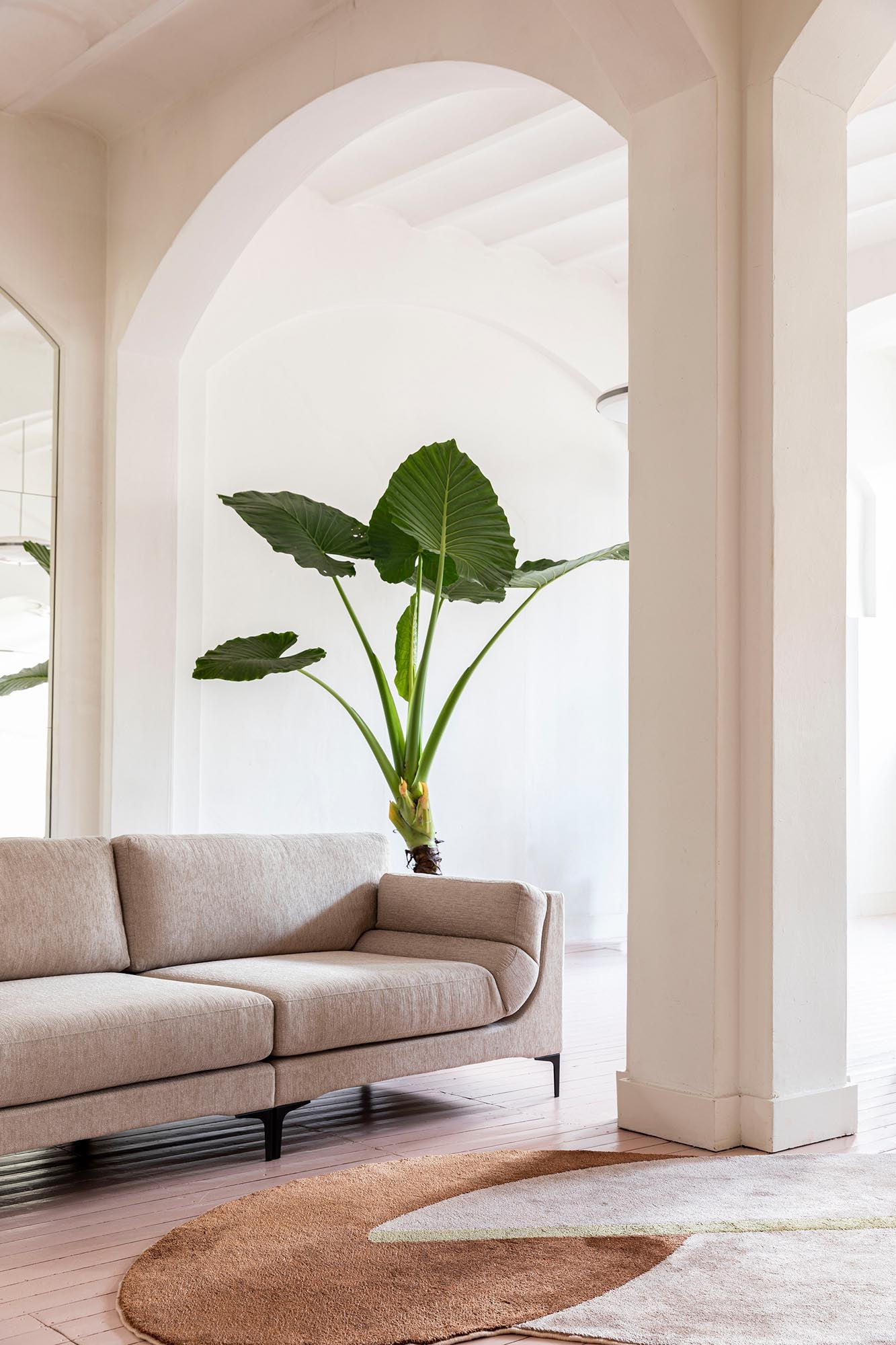 Zuiver Balcony 3-Sitzer: Komfort und Stil für Ihren Wohnbereich.