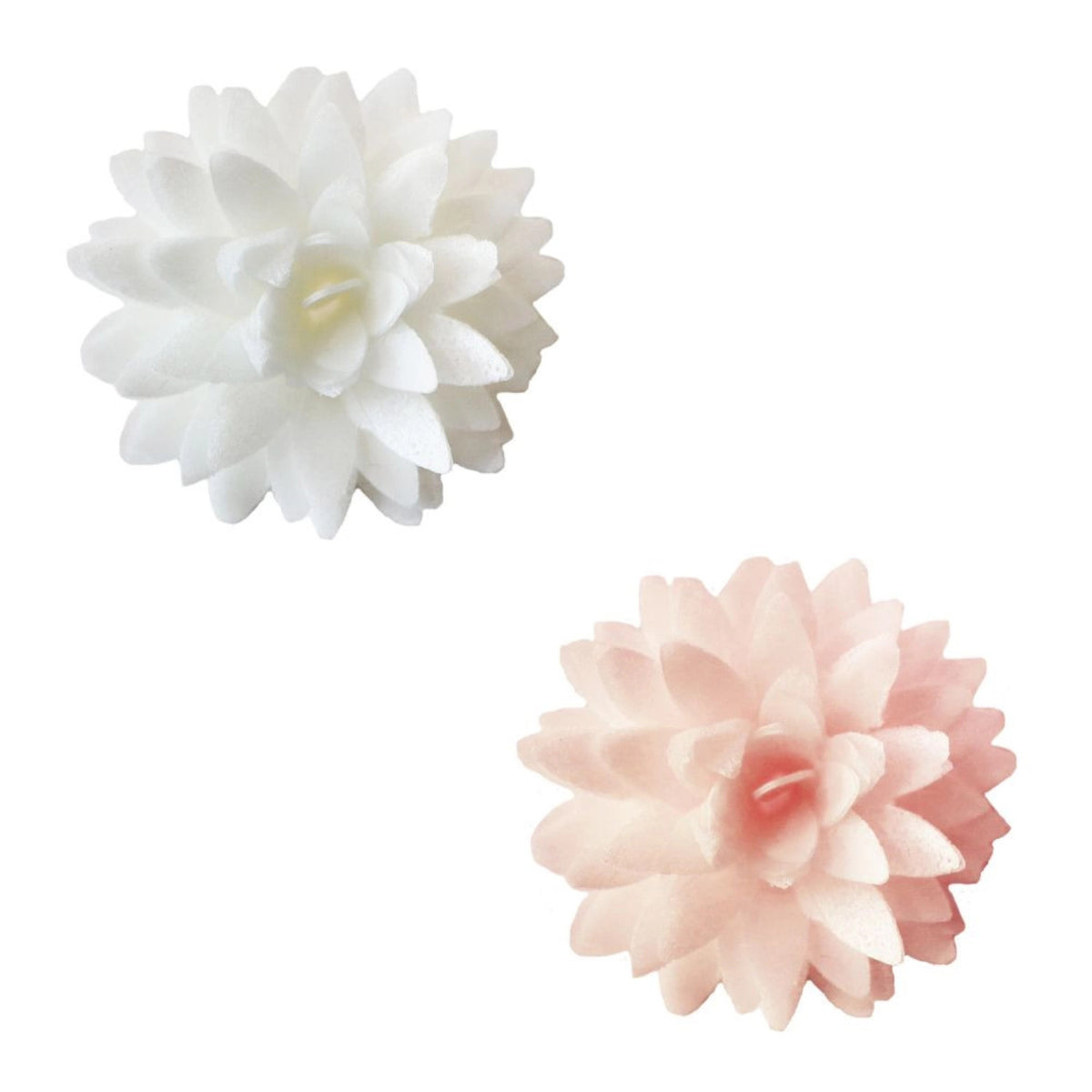 5er Set Dahlien aus Esspapier weiss, rosa in Pink präsentiert im Onlineshop von KAQTU Design AG. Zutaten ist von Scrap Cooking