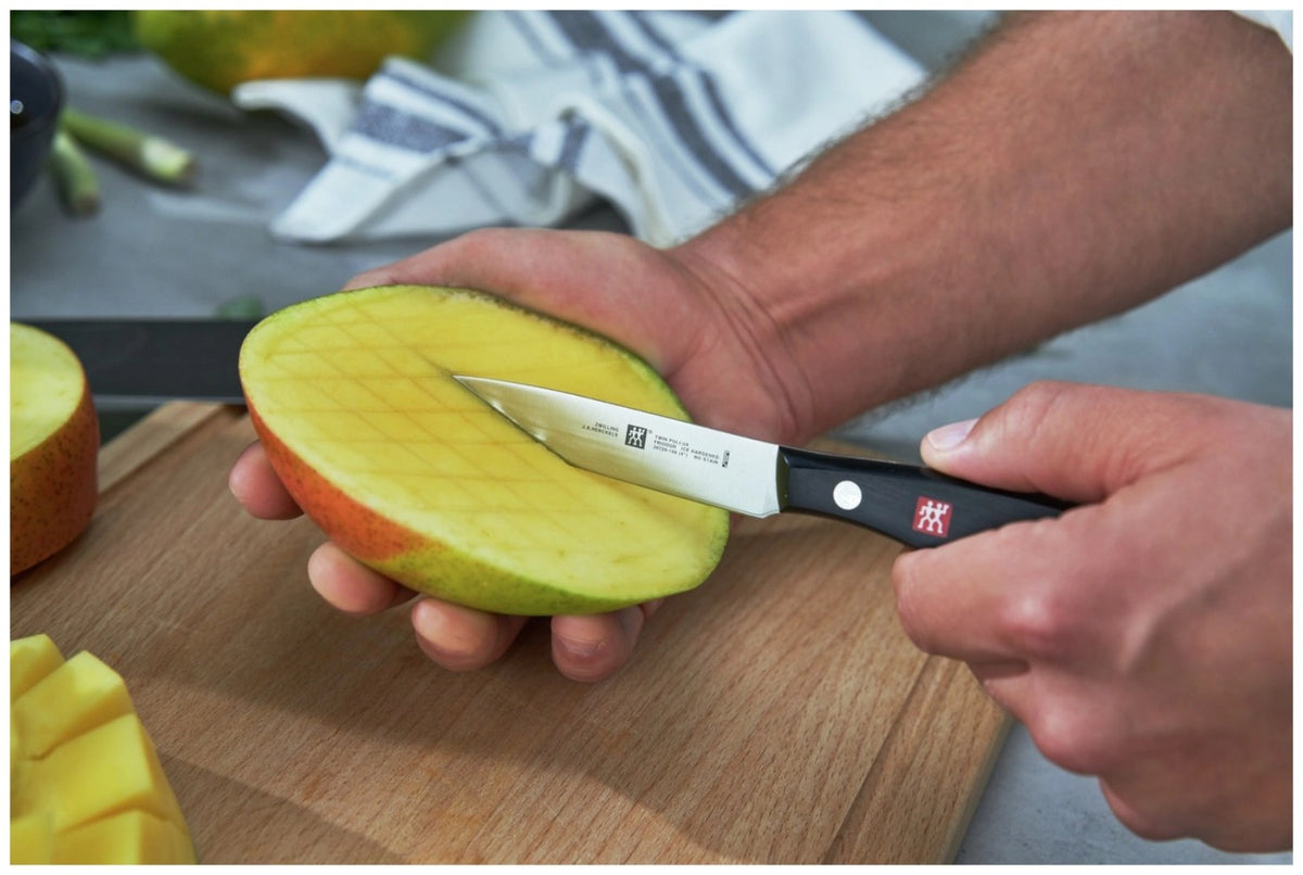 Zwilling Signature Schälmesser mit 10 cm Klinge aus Edelstahl, Griff im Drei-Nieten-Design, mehrfarbige Ausführung, freigestellt fotografiert.