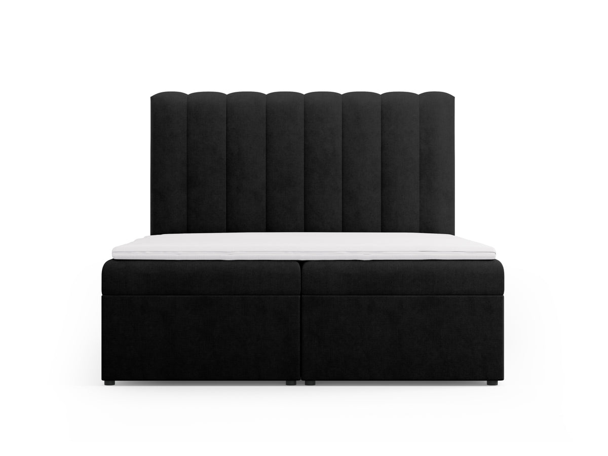 Kelp Boxspringbett Set 160cm: Headboard + Box Springs/Matratze + Matratze Topper in Black-Moly präsentiert im Onlineshop von KAQTU Design AG. Bett ist von Micadoni