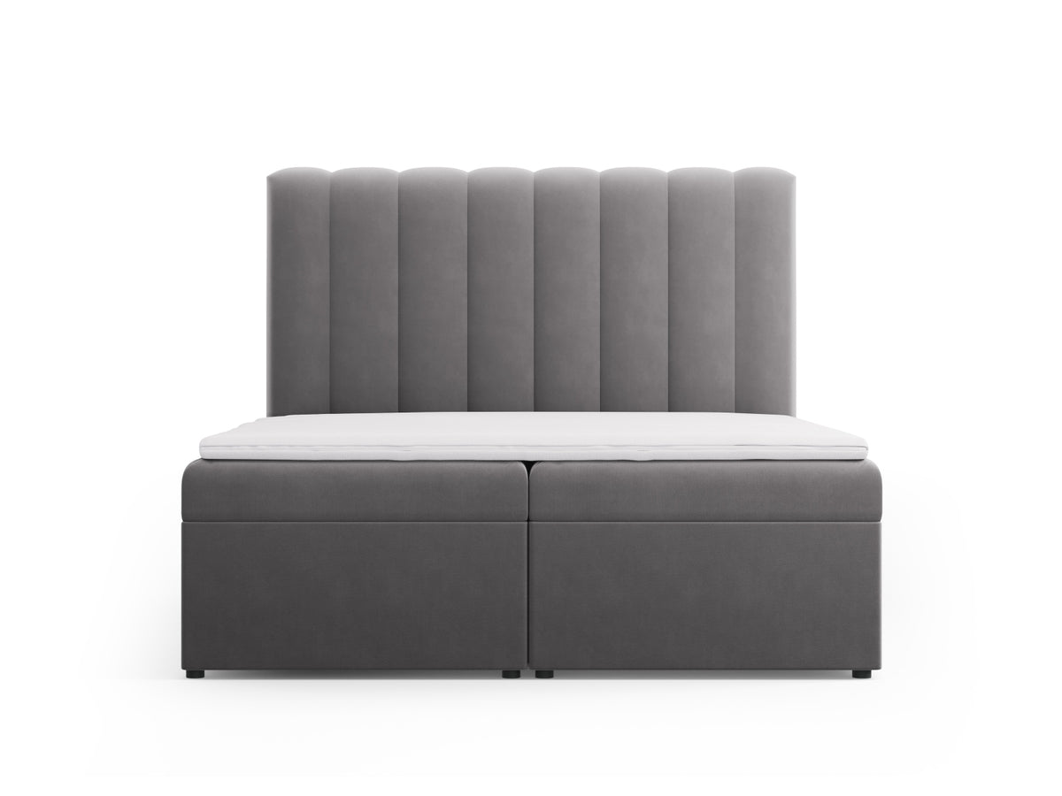 Kelp Boxspringbett Set 160cm: Headboard + Box Springs/Matratze + Matratze Topper in Grey-Bluvel präsentiert im Onlineshop von KAQTU Design AG. Bett ist von Micadoni