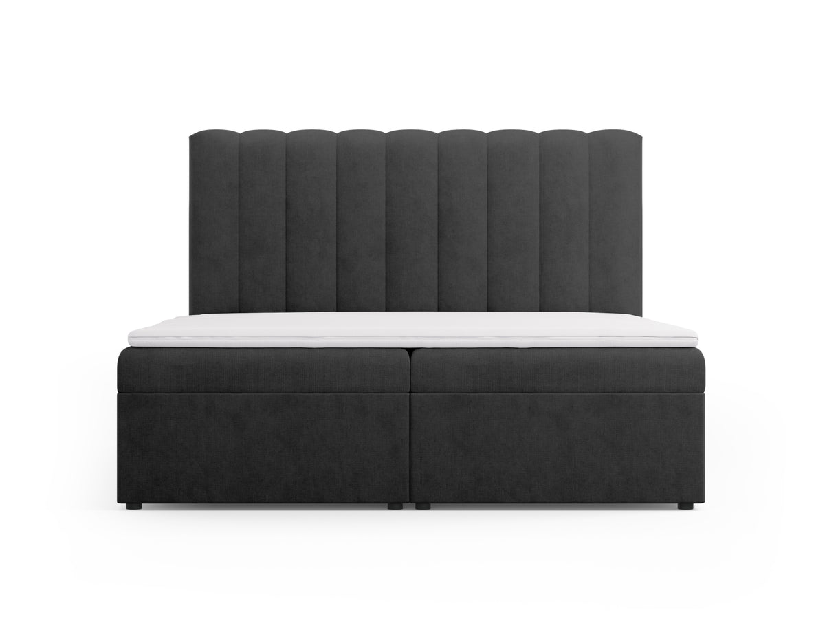 Kelp Boxspringbett Set 180cm: Headboard + Box Springs/Matratze + Matratze Topper in Anthracite-Moly präsentiert im Onlineshop von KAQTU Design AG. Bett ist von Micadoni