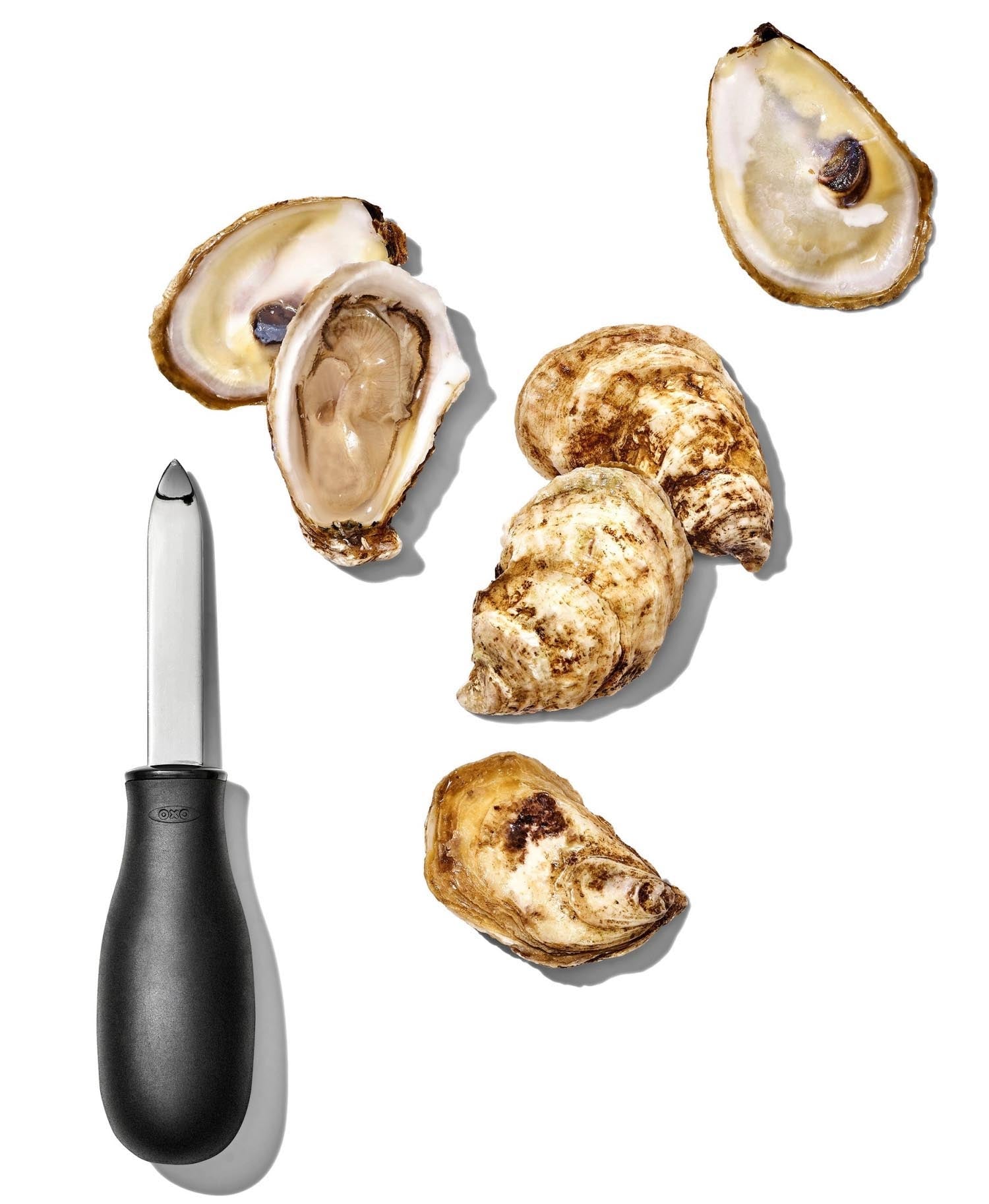 Das OXO Good Grips Austernmesser bietet sicheren Halt und eine robuste Klinge, ideal zum Öffnen von Austern.