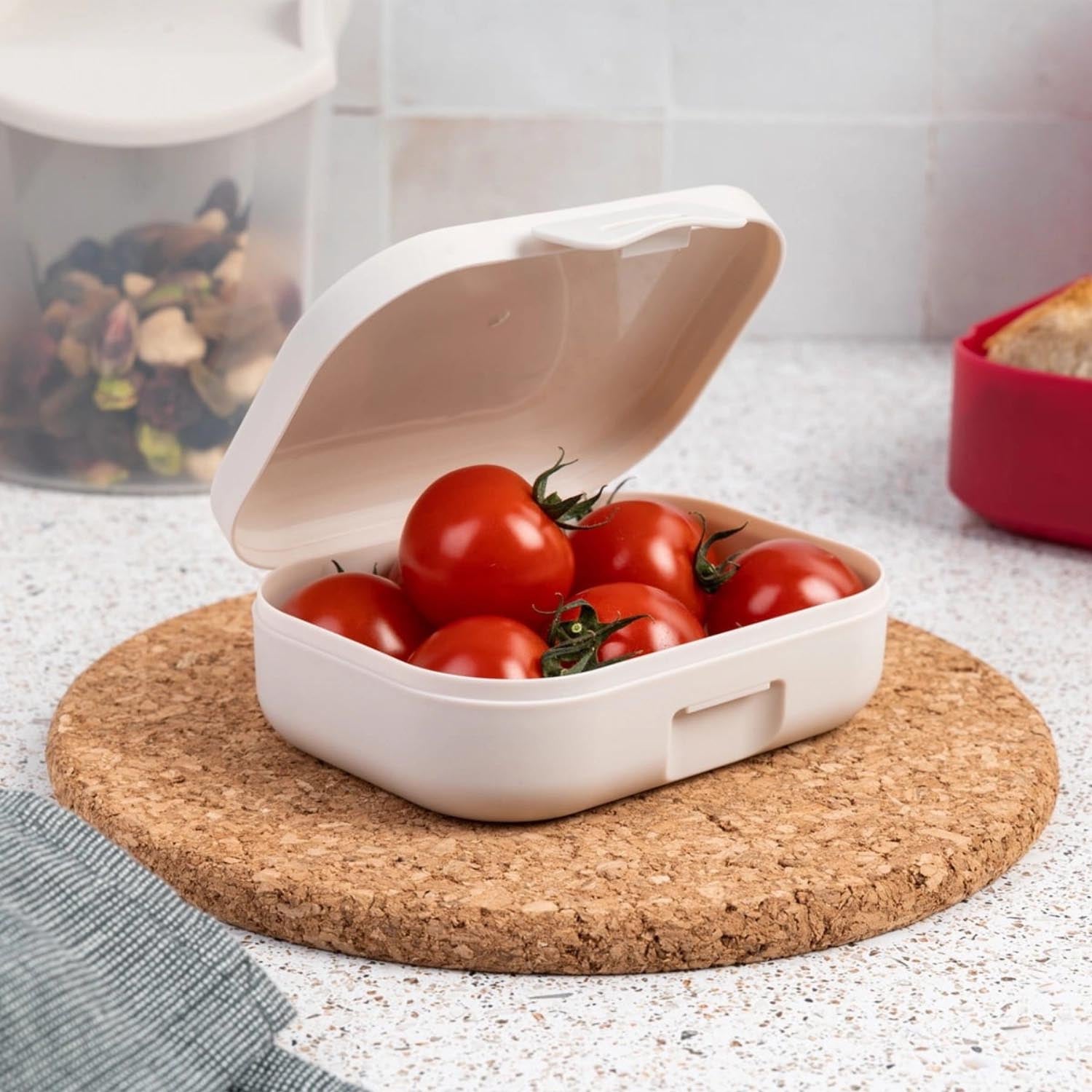 Kleine AMUSE BASIC Snackbox in Sandfarbe, ideal für Snacks unterwegs. Kompakt, praktisch und stilvoll für den täglichen Gebrauch.