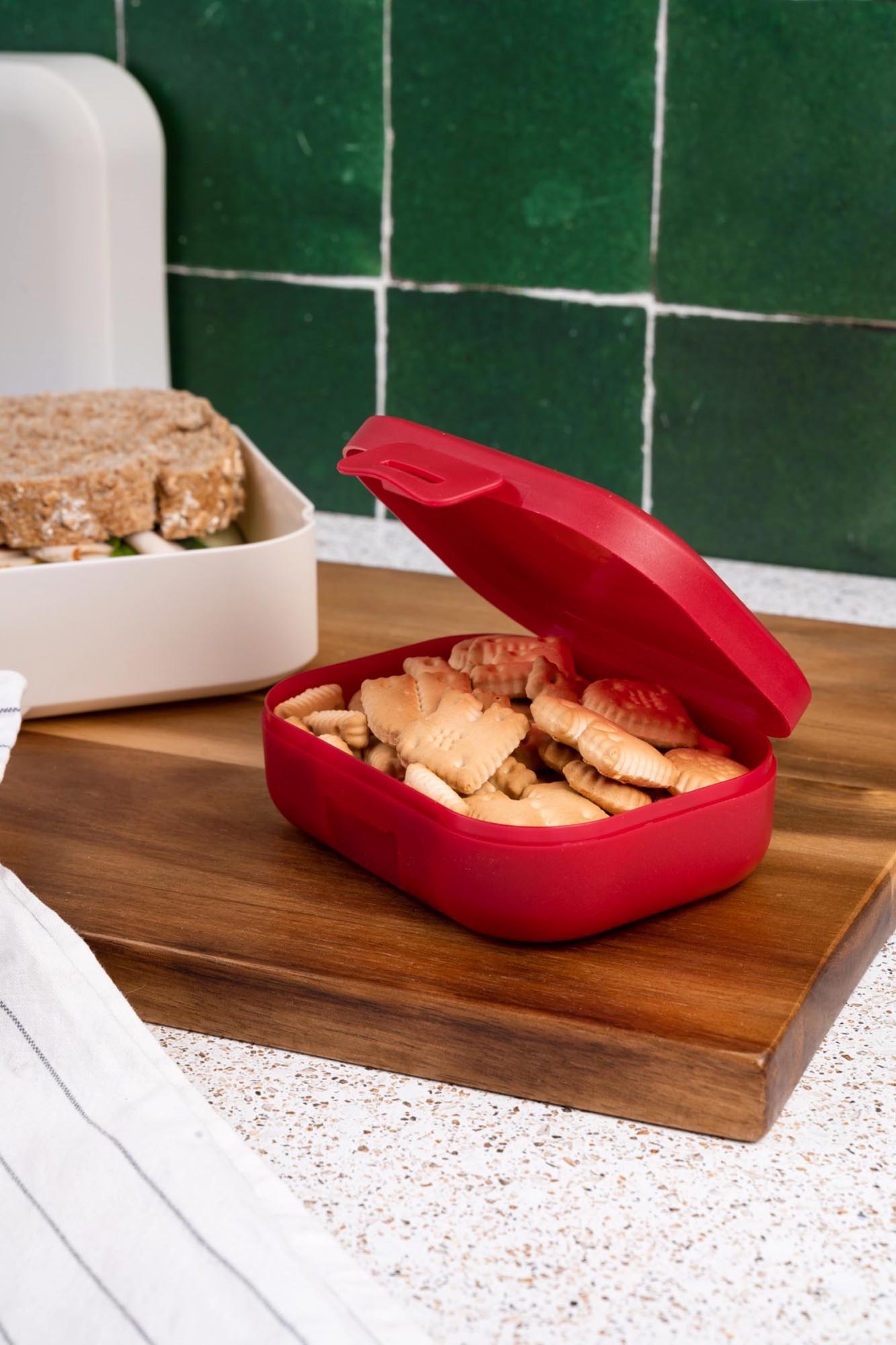 Kleine AMUSE BASIC Snackbox RUBY, perfekt für unterwegs. Robustes Design, kompakt und stilvoll, Masse: 109x80x37 mm.