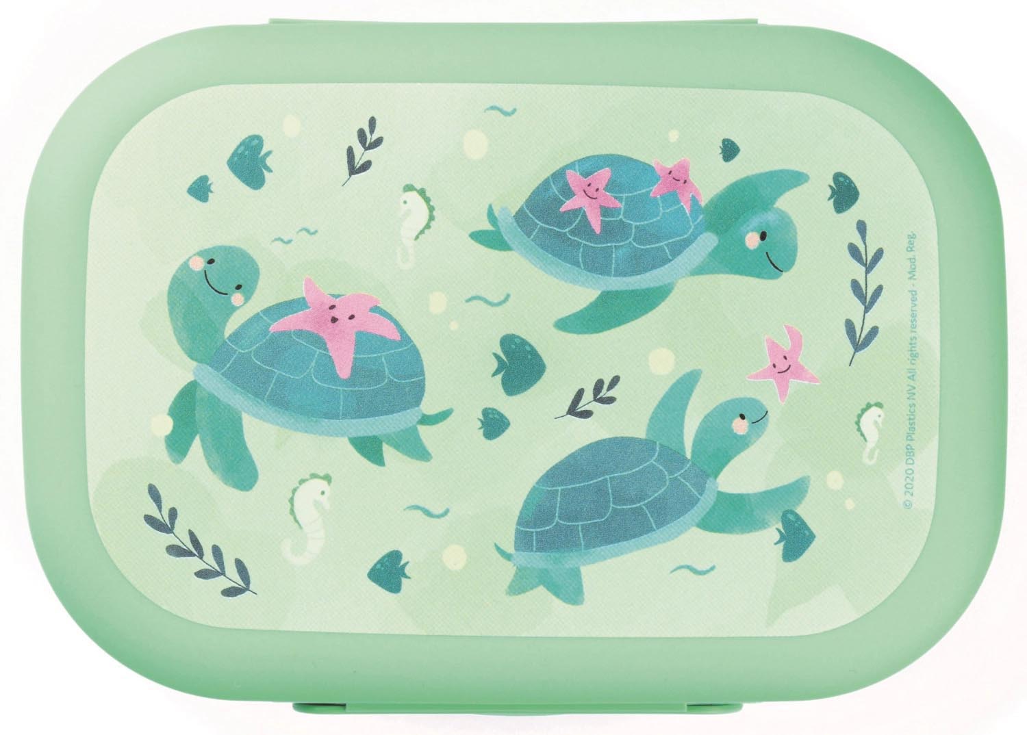 Praktische hellgrüne Sealife Lunchbox mit Schildkrötenmotiv, ideal für Snacks unterwegs. Masse: 180x132x50 mm. Perfekt für Kinder.