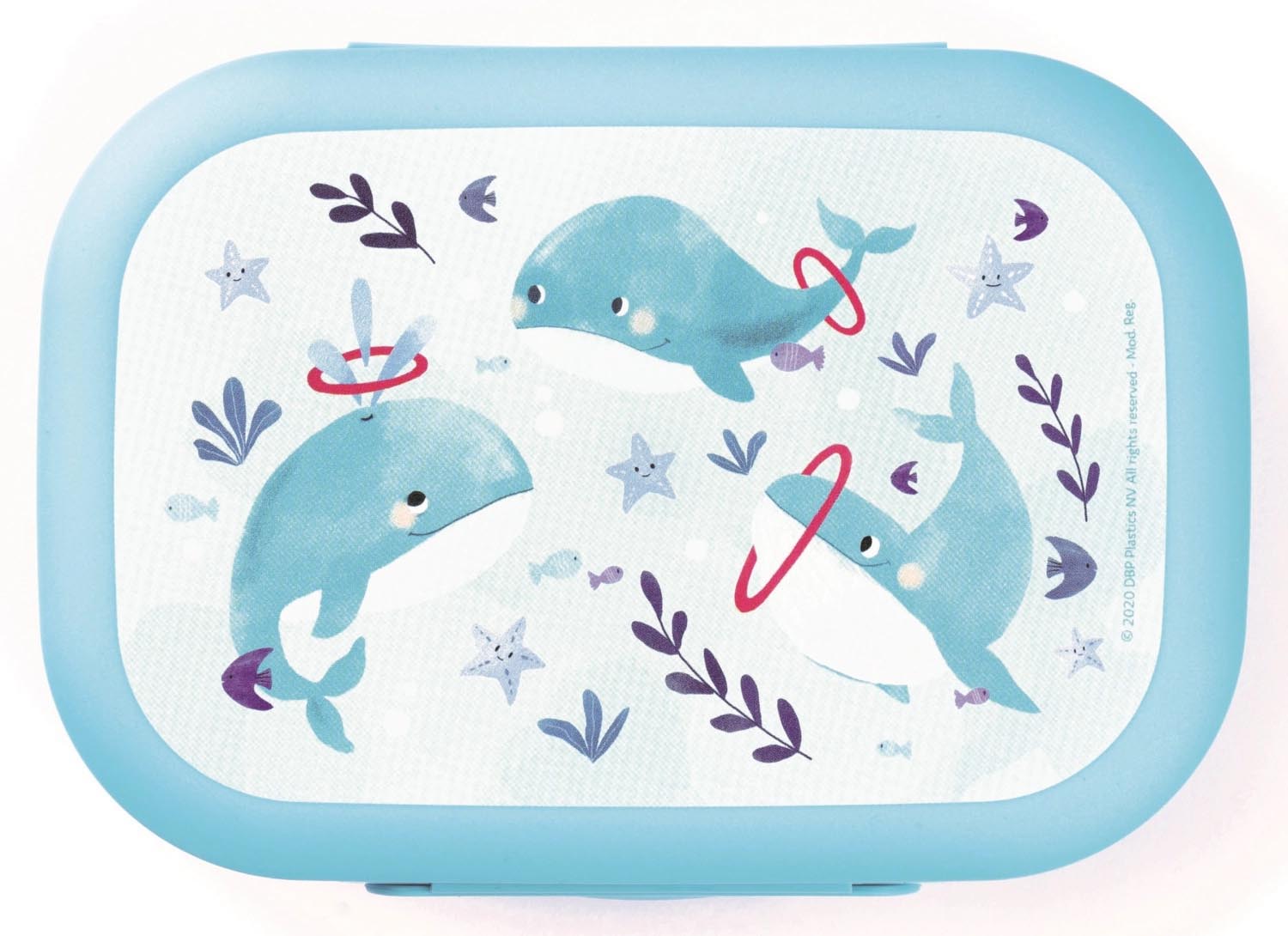 Praktische hellblaue Sealife Lunchbox mit Wal-Motiv, 180x132x50 mm, ideal für Snacks unterwegs, von Amuse.