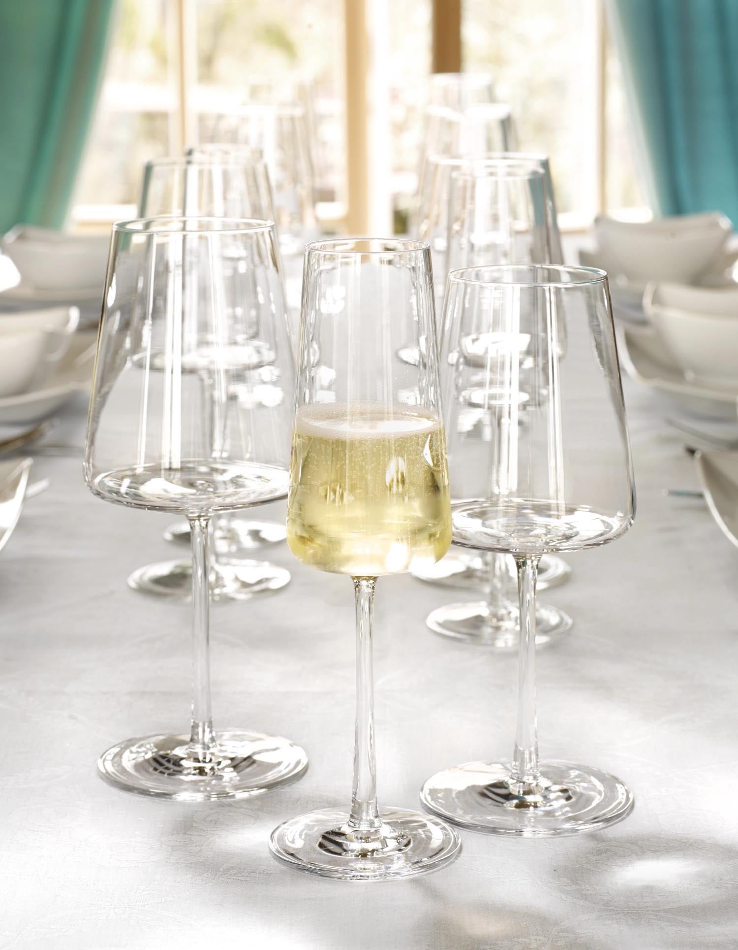 Elegantes 6er Set Champagnerkelche von Stölzle, 238ml, 226mm hoch, ideal für prickelnden Genuss und stilvolle Anlässe.