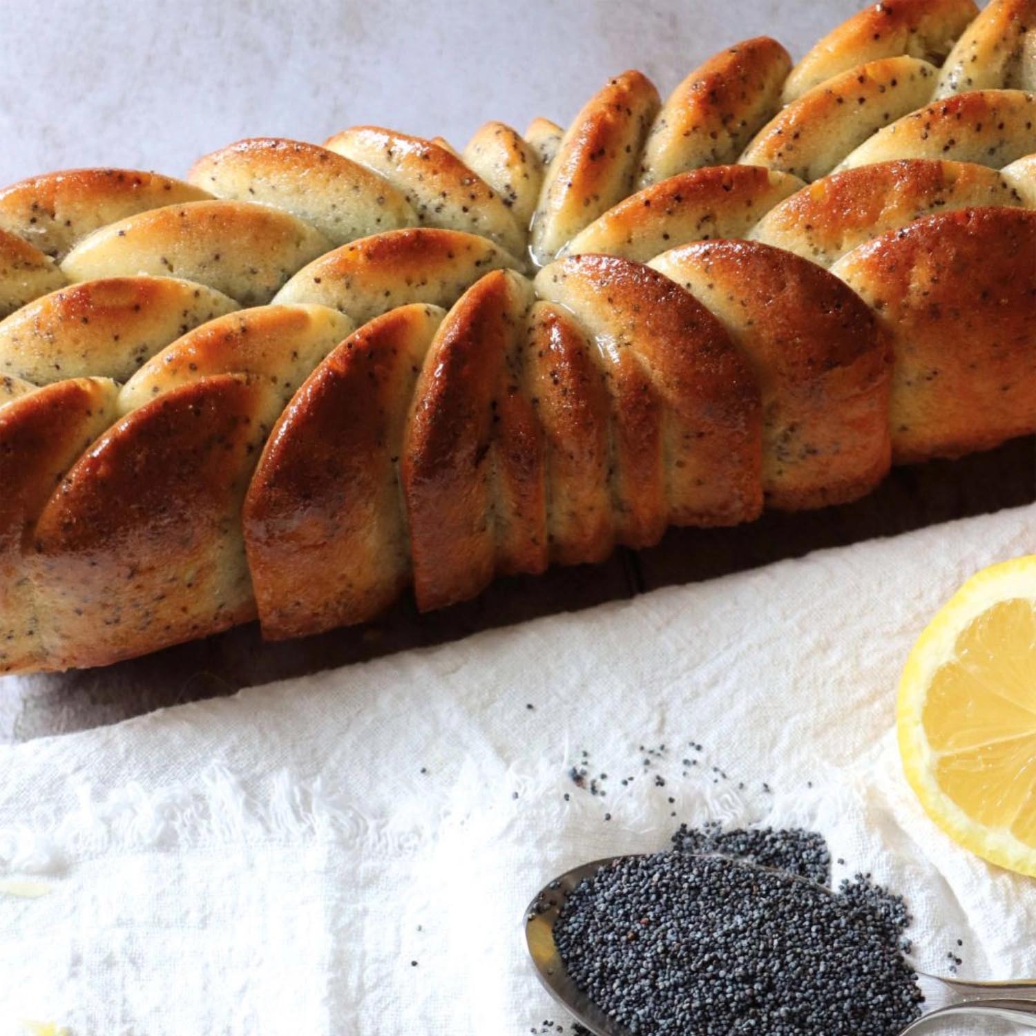 Set aus 3 Bûche Instant von Scrap Cooking – perfekt für originelle Dessertkreationen und kreative Backideen.