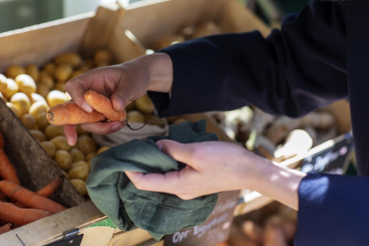 Set aus drei dunkelgrünen Bio-Baumwollbeuteln von The Organic Company, perfekt für nachhaltige Lebensmittelaufbewahrung und umweltfreundlich.